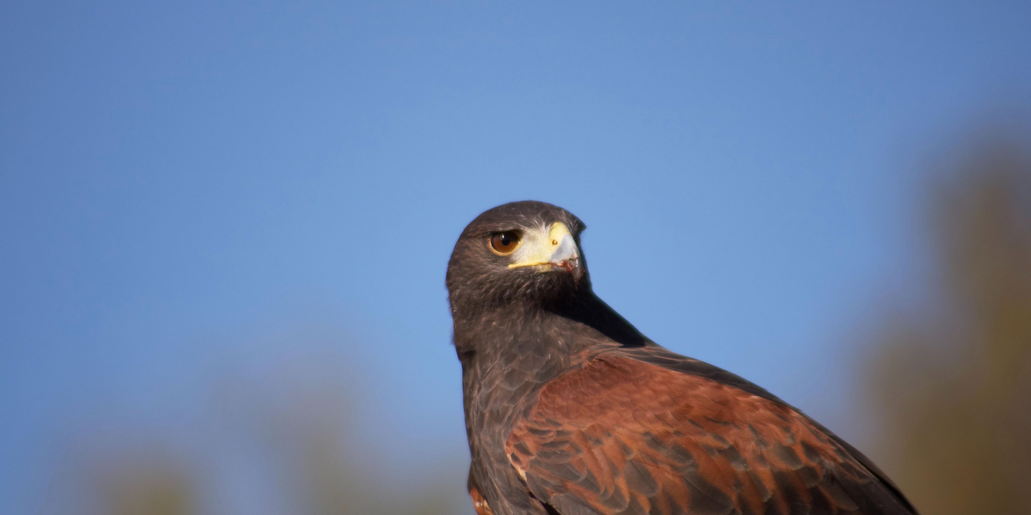 Enjoy a Fun and informative family activity at the High Desert Museum! Learn about the area’s history, art, wildlife and culture throughout the years.