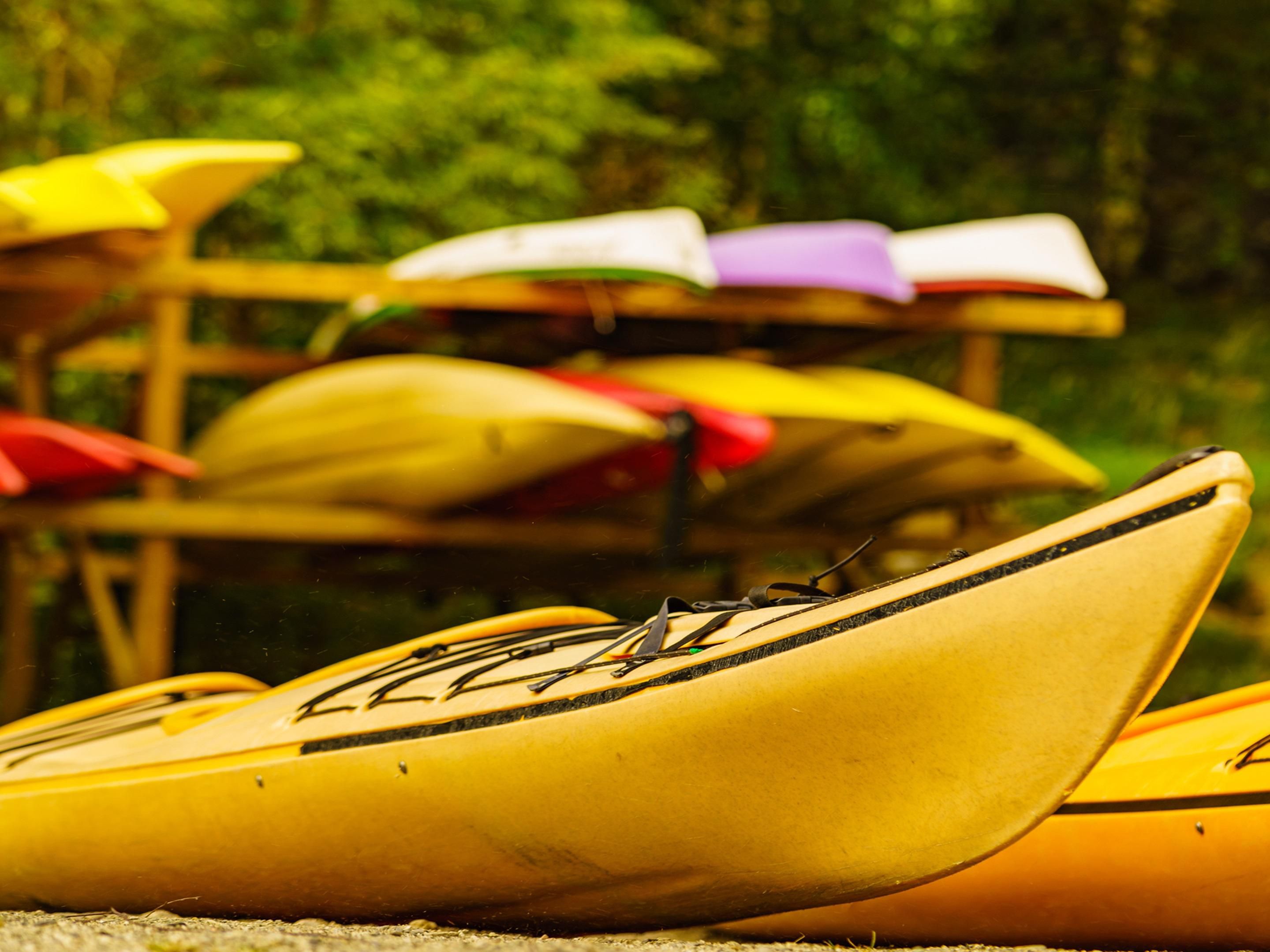 Our hotel in Bloomington is a short drive from Monroe Lake, ideal for outdoor lovers. Enjoy canoeing on calm waters, swimming at sandy beaches, or fishing in this beautiful setting. With plenty of options for boating and picnicking, Monroe Lake promises a fun-filled day of adventure and relaxation!