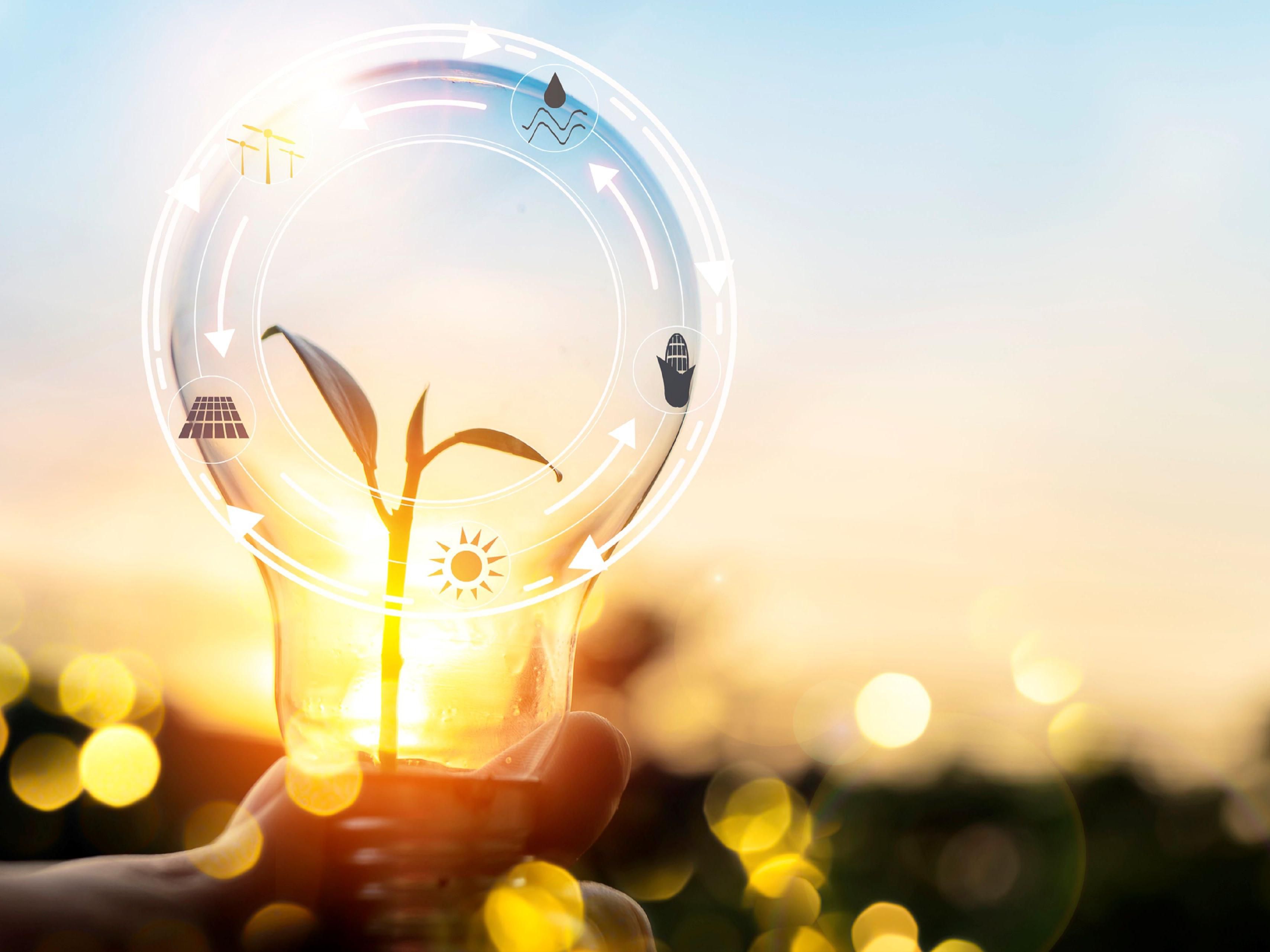 Energy Project Contractors