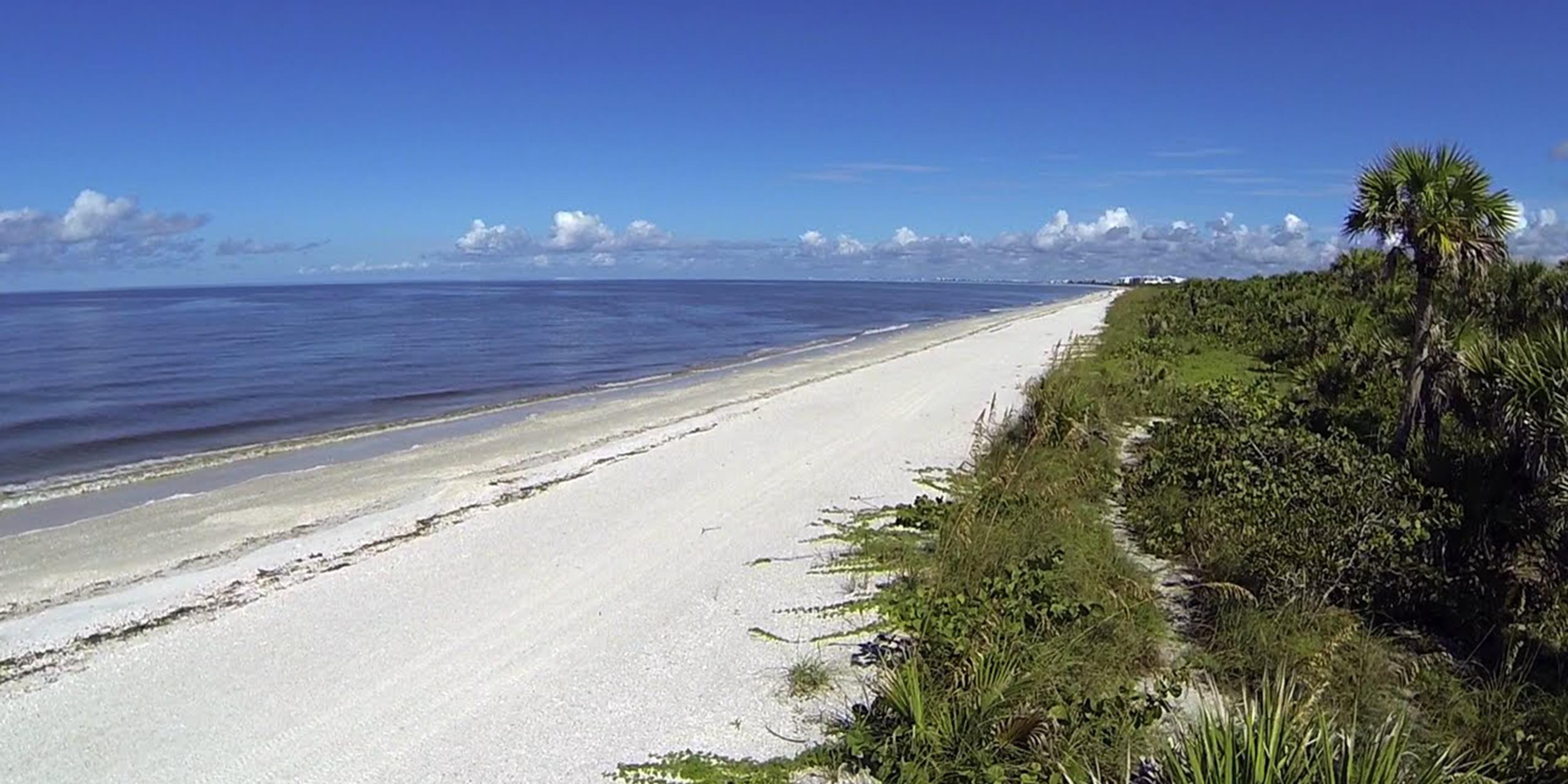 With both beaches just about 2 miles from the hotel, you can have two different experiences! Barefoot Beach Preserve is 342 acres of natural land, one of the last undeveloped barrier islands on Florida's southwest coast, while Bonita Beach offers jet-skiing and parasailing, along with sunset views at Doc's Restaurant. 