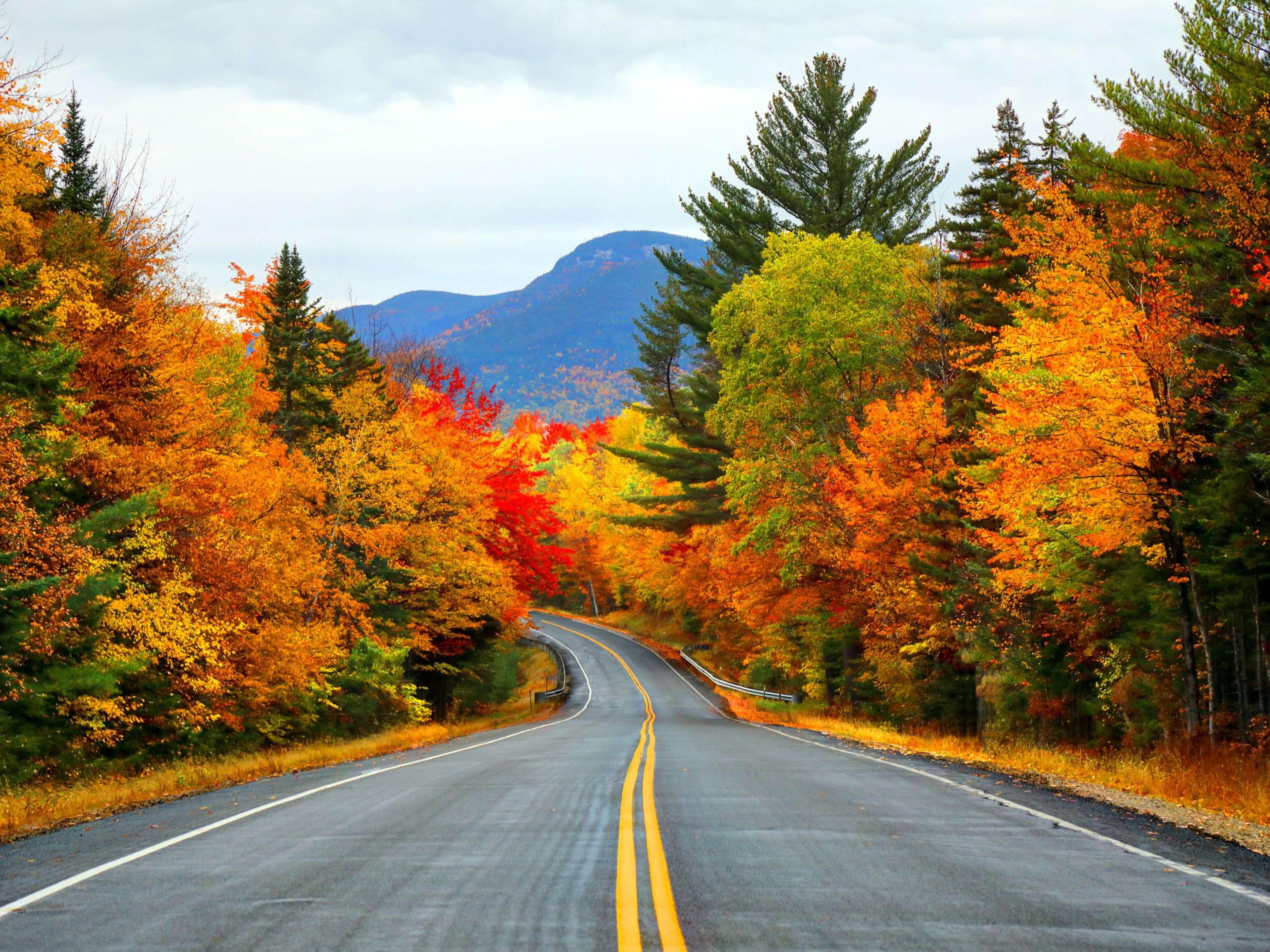Plan a Road Trip Getaway