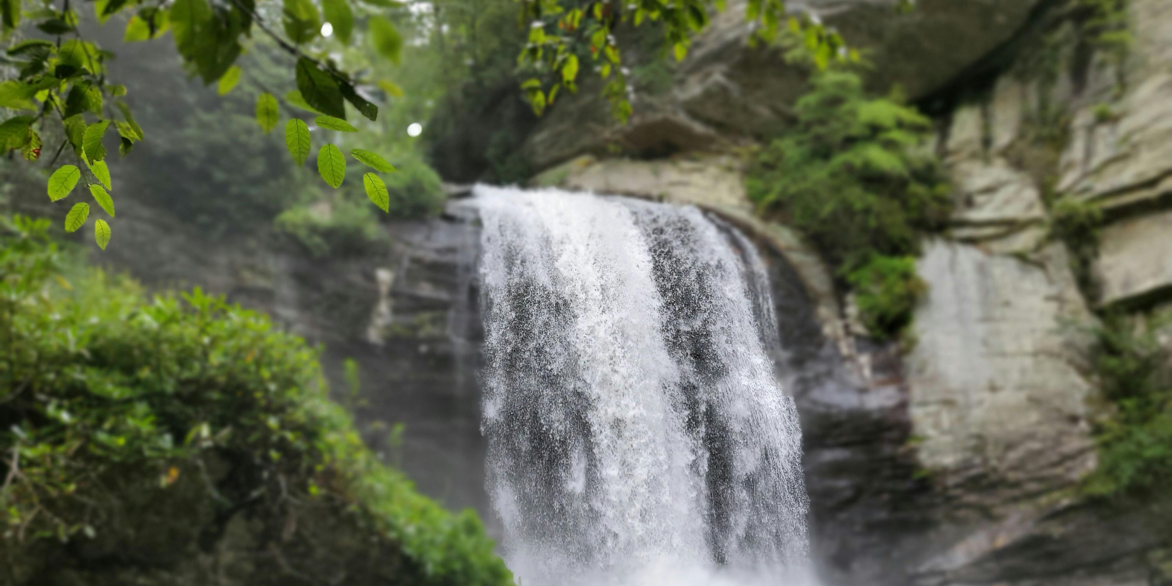We are only a short drive from the beautiful Pisgah National Forest as well as Dupont State Forest where hundreds of waterfalls and trails await your story of adventure!