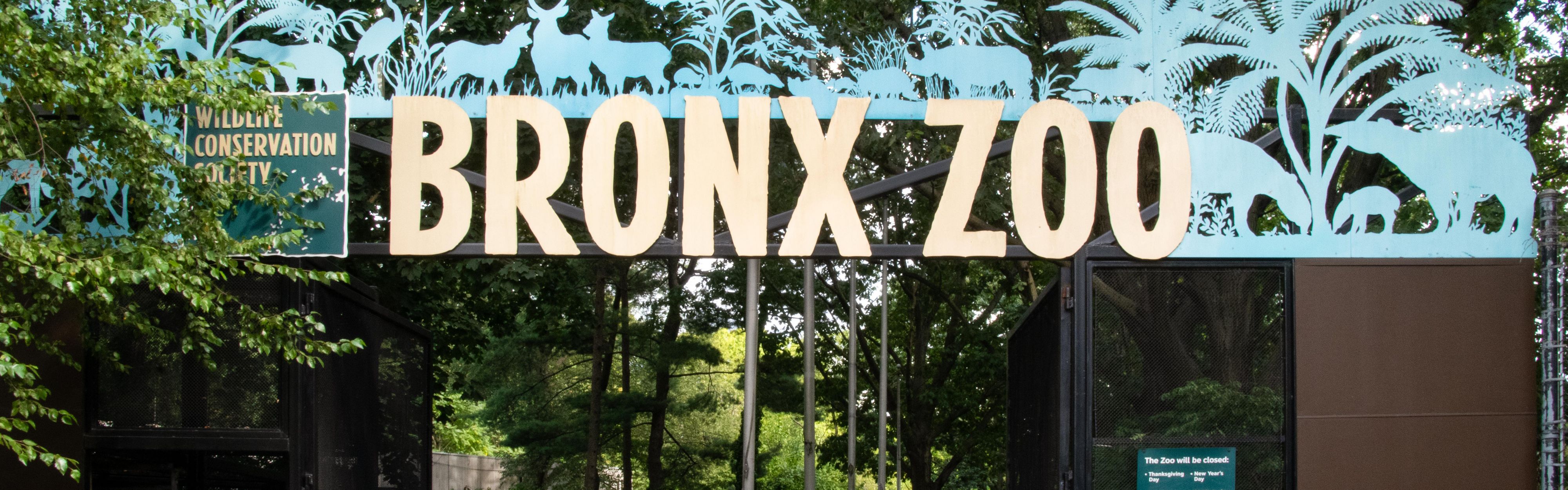 Local attraction Bronx Zoo