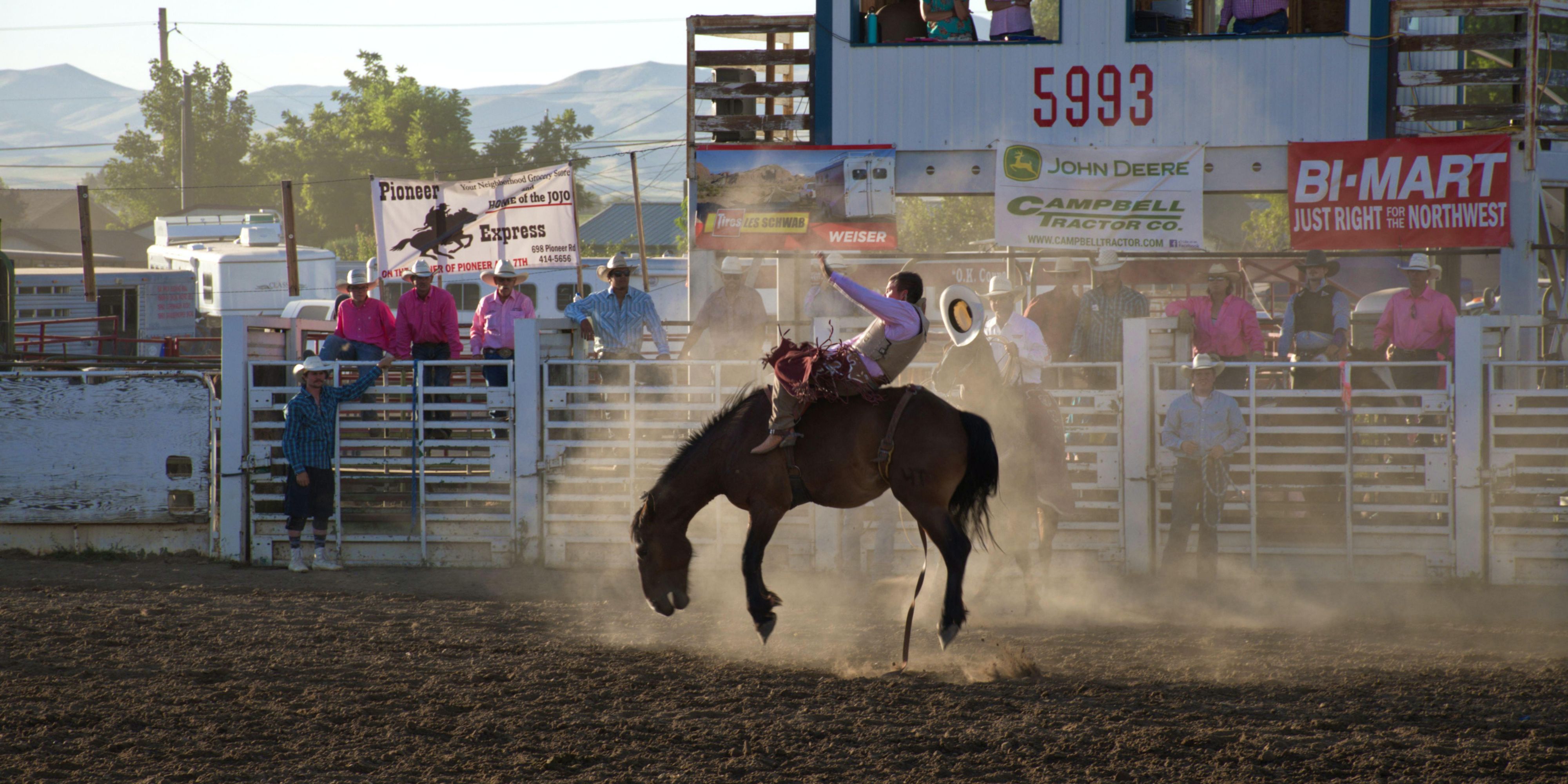 Have some fun at the Johnson County Fair and Rodeo, go to the Monster Truck Show, watch the experts at Extreme Bull Riding events or see a Tractor Pull. There is always something happening at the Fairgrounds and this hotel in Buffalo, WY is located just minutes from all the fun!