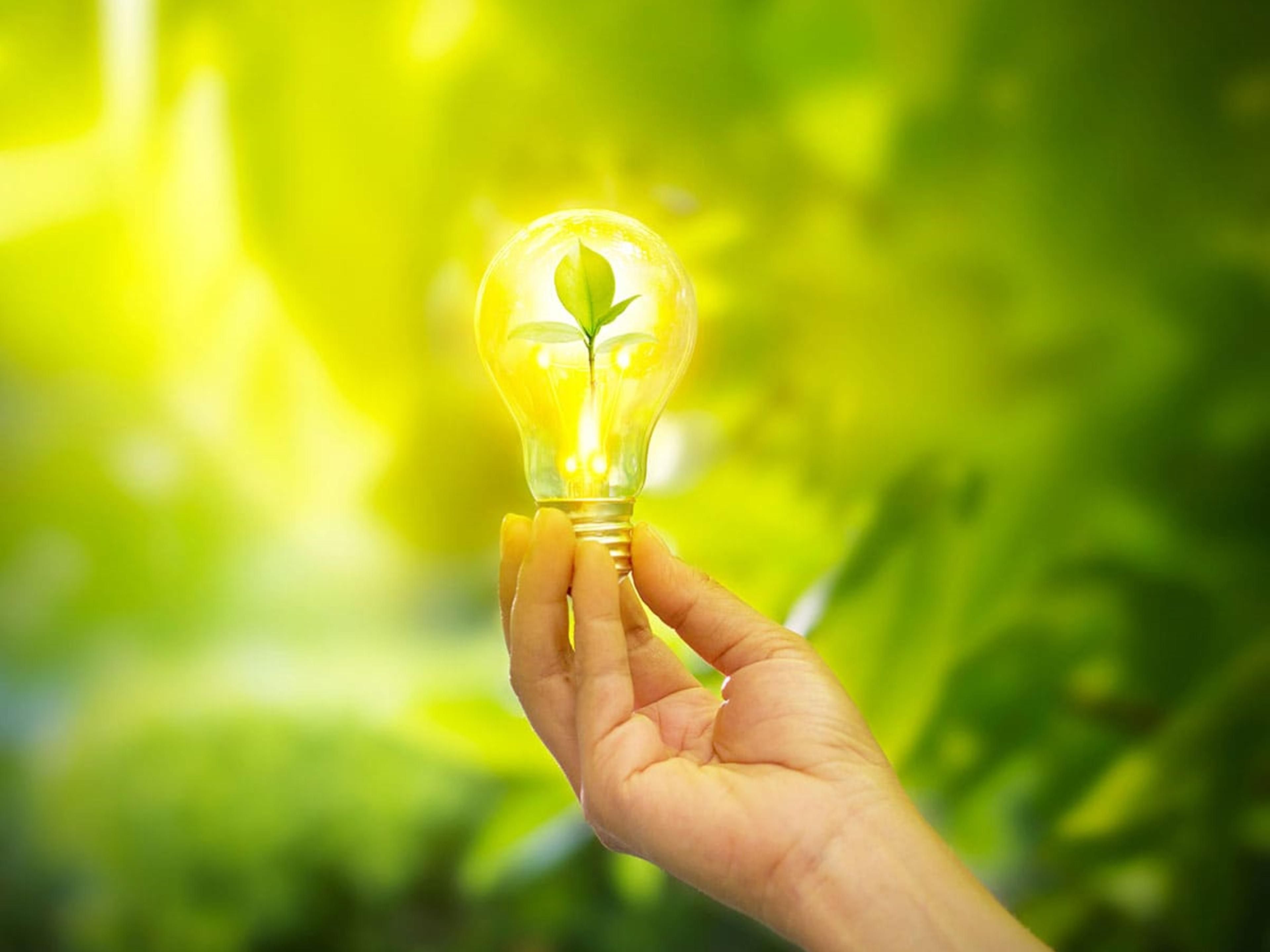 Calling all Energy Associates