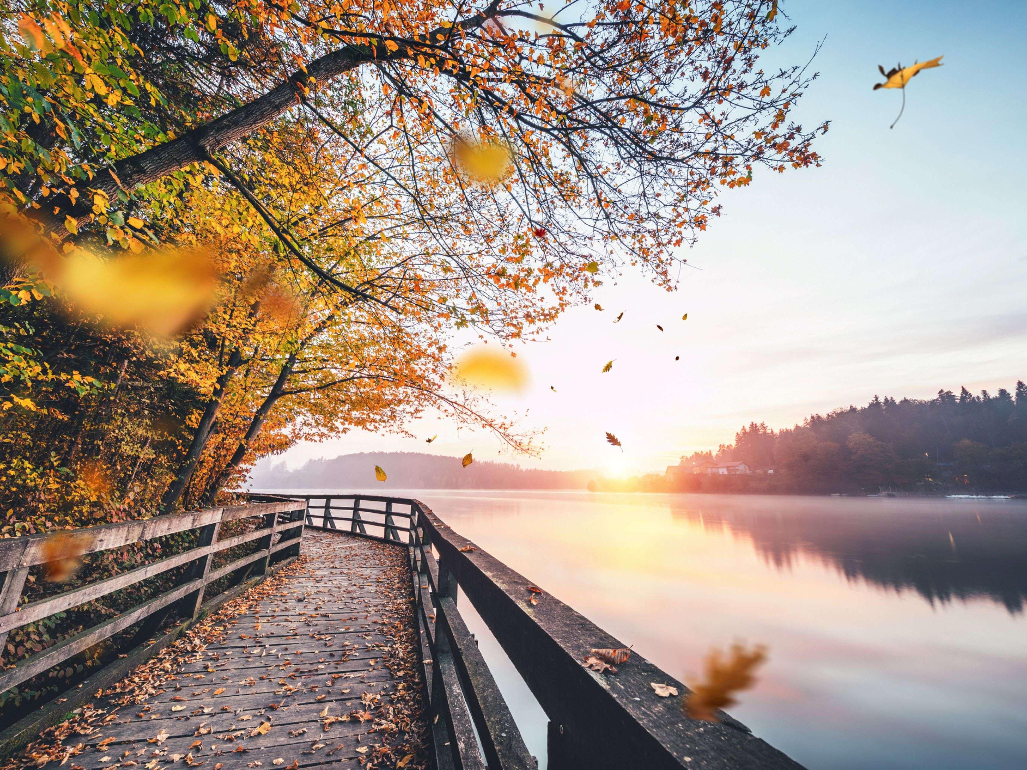 Take a stroll down Michigan's longest rail-turned trail, White Pine Trail located just minutes from our front door.
