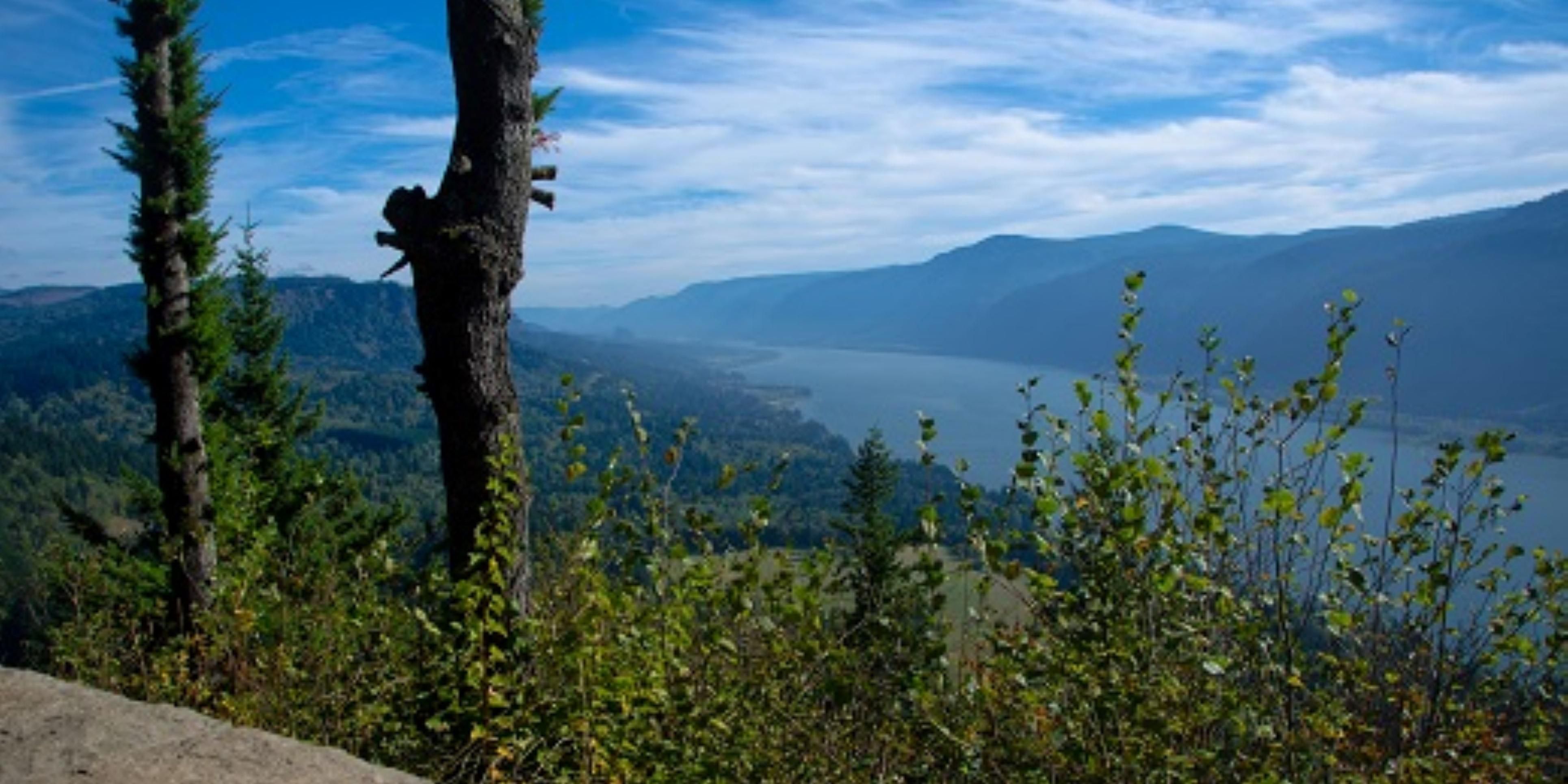 Make sure to take some time during your stay to see the beautiful Columbia River Gorge nearby.