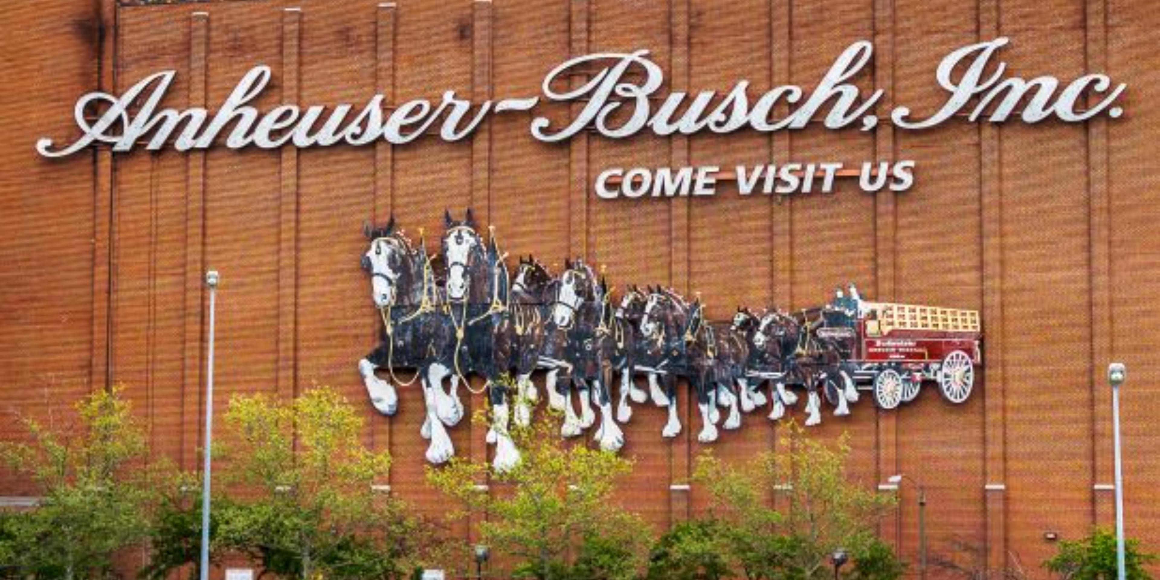 Before you leave St. Louis, take a tour of the Anheuser-Busch brewery! You will learn everything about the process of making and packaging beer, and those over 21 can enjoy free samples of the beers on tap. A quick 30-minute drive from the hotel.