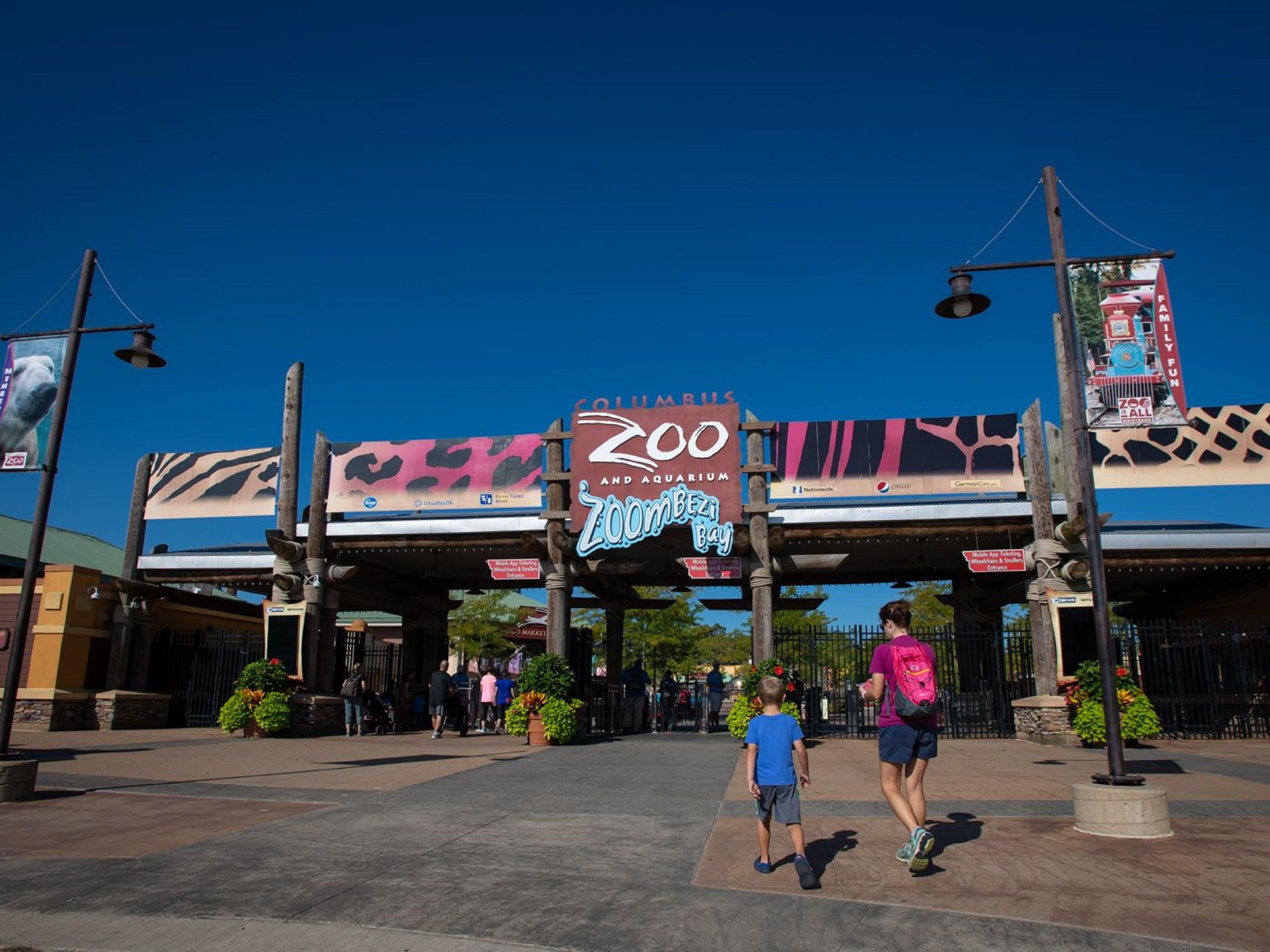 Enjoy the Zoo this summer!