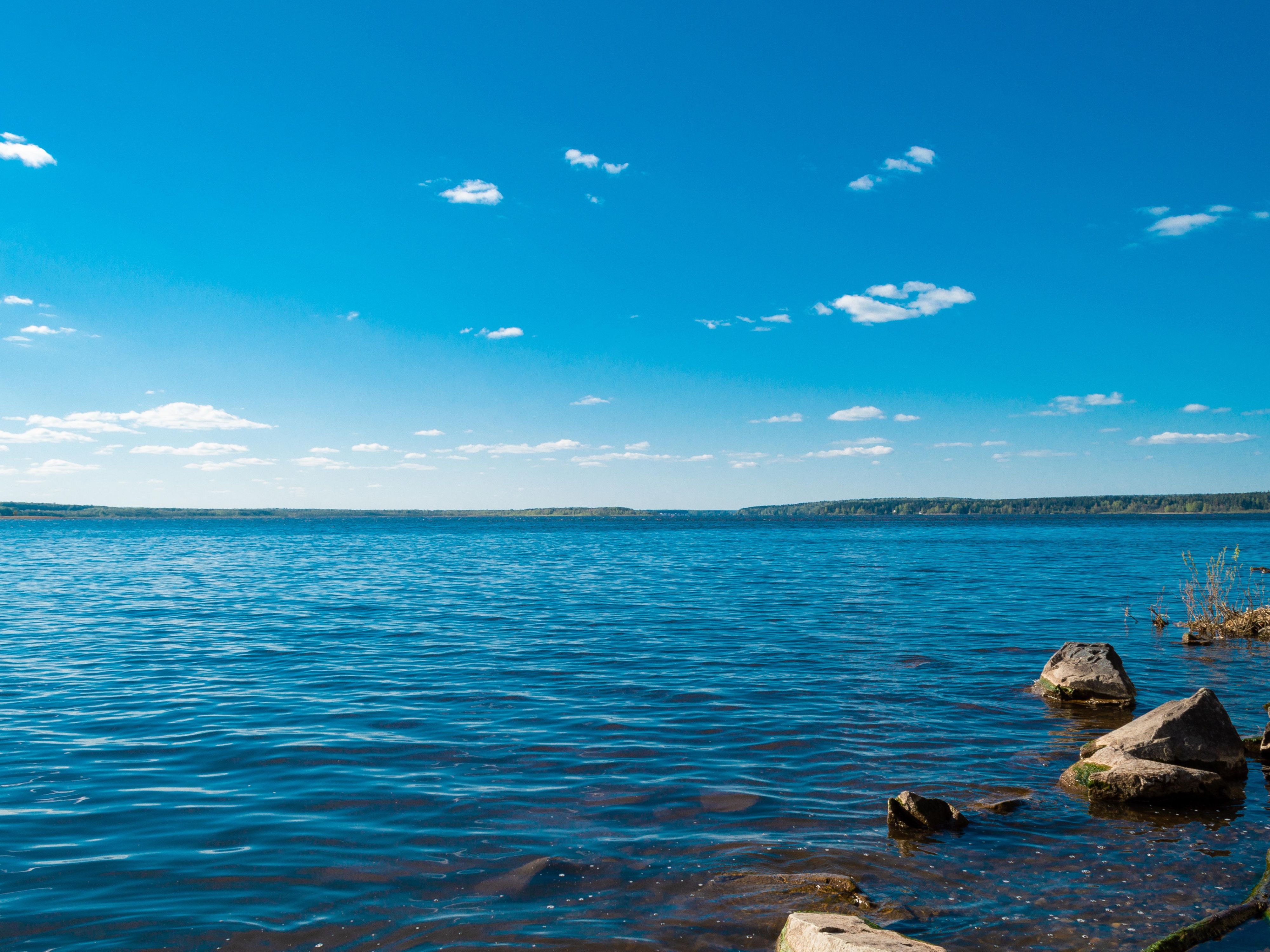 Stay with us to enjoy a weekend getaway at Lake Conroe. We are just minutes away. 
