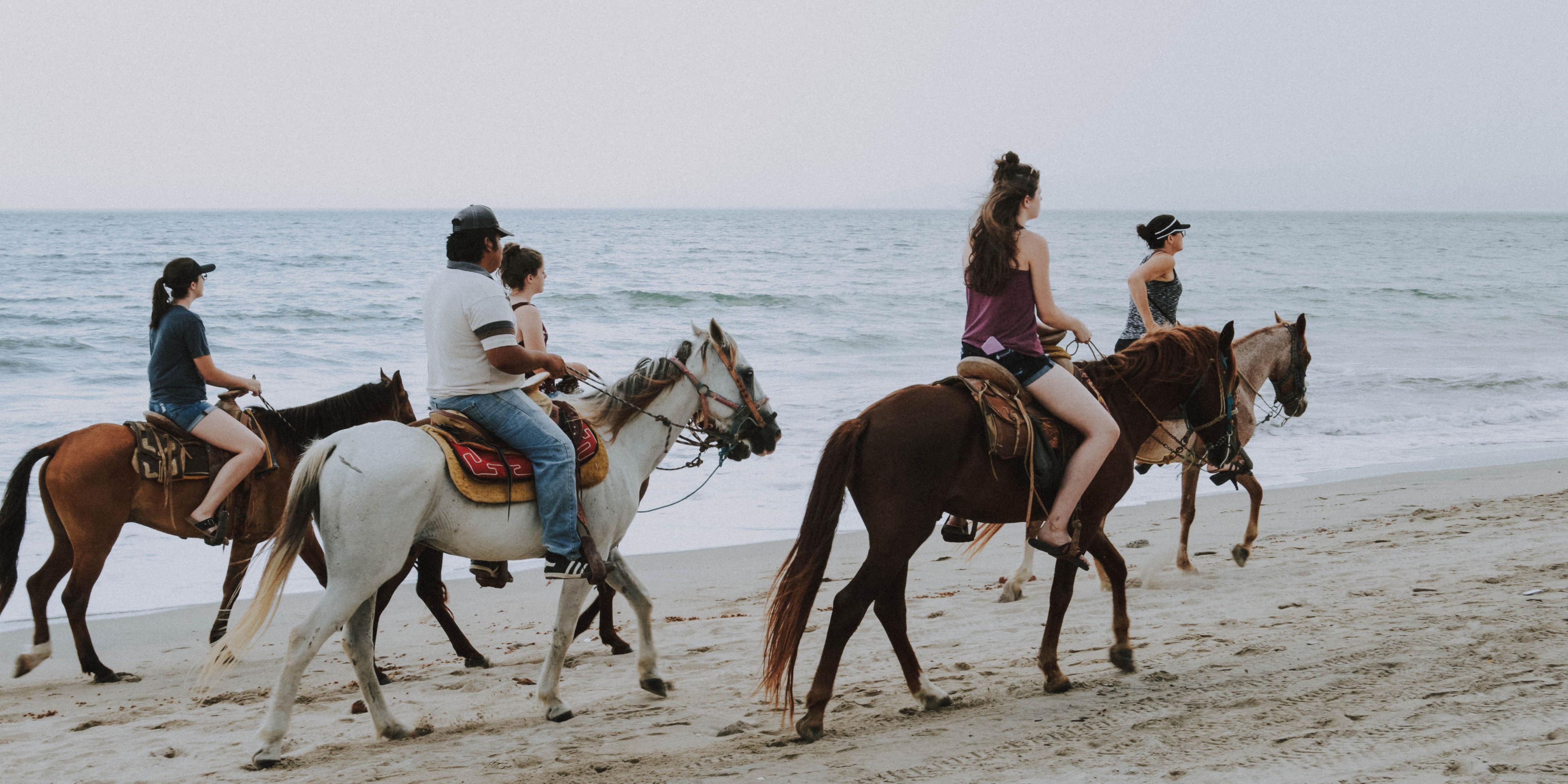 Horses on The Beach offers daily horseback rides on the beaches of North Padre Island. For more information see the website link below or call 361-949-4944.