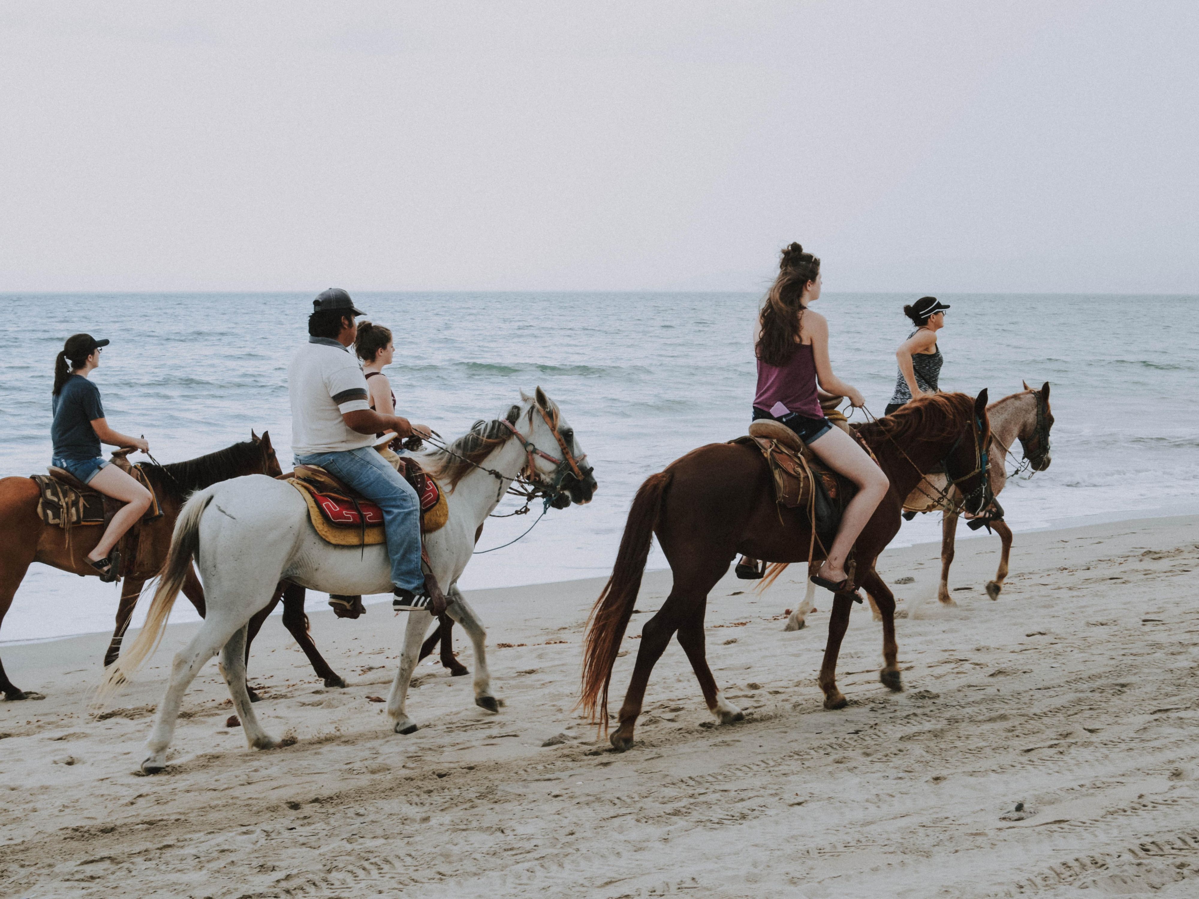 Elevate your stay with an unforgettable horse-riding experience on the beachfront. Horses on the Beach offers daily rides along the beautiful beaches of North Padre Island, providing a unique, postcard-worthy adventure. For more information and to book your ride, visit their website or call 361-949-4944.