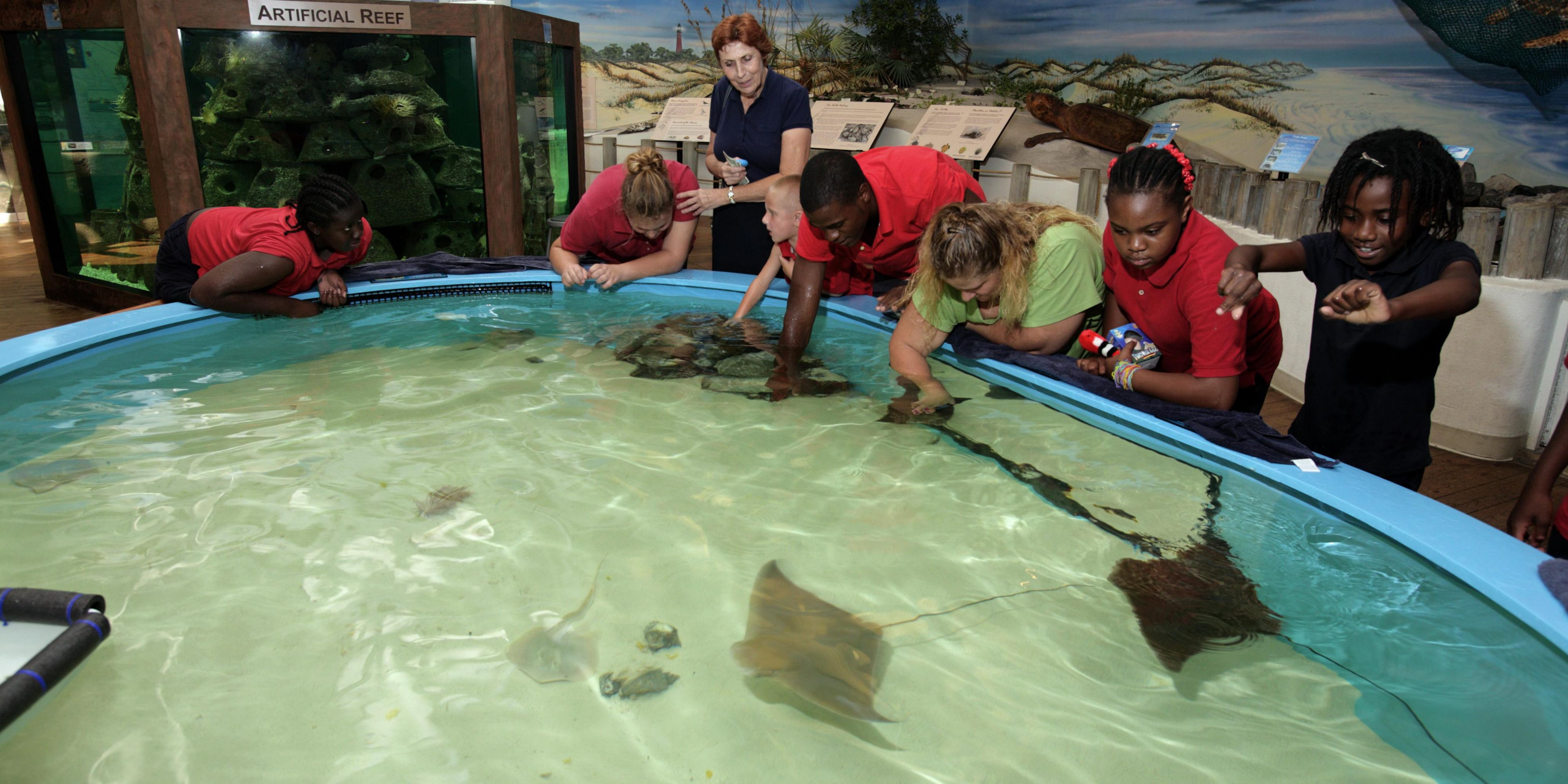 Discover and learn about Volusia County’s rich marine life – its inhabitants and the ecosystems that make this area unique – at the Marine Science Center. Through innovative learning experiences, visitors can view seabird and sea turtle rehabilitation, get hands-on in a teaching lab, and explore exhibit galleries.