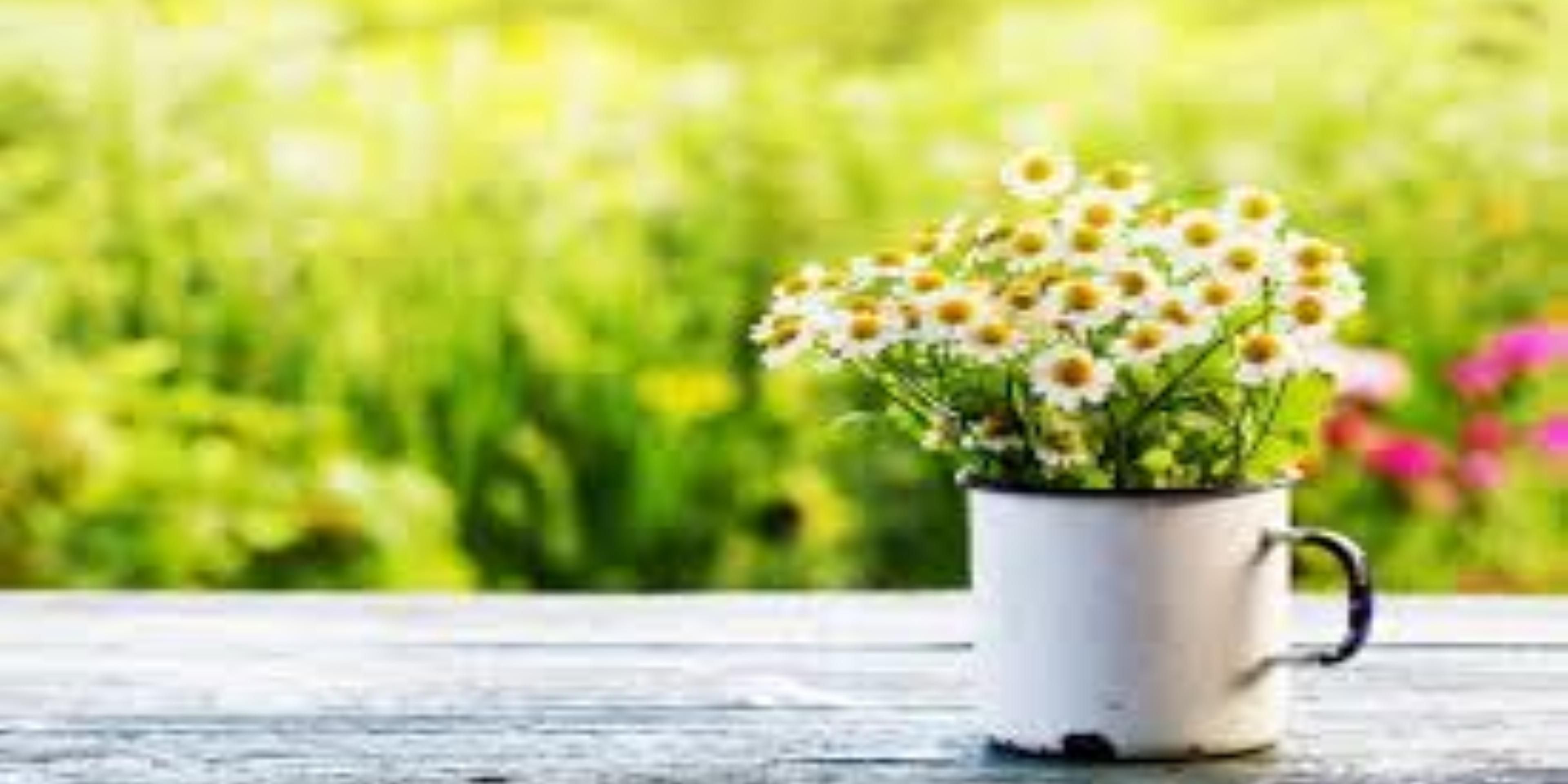 Sometimes it's nice to escape the city for a few hours to connect with nature. We are conveniently located near Woldumar Nature Center, Fenner Nature Center, and the Ledges in Grand Ledge. 