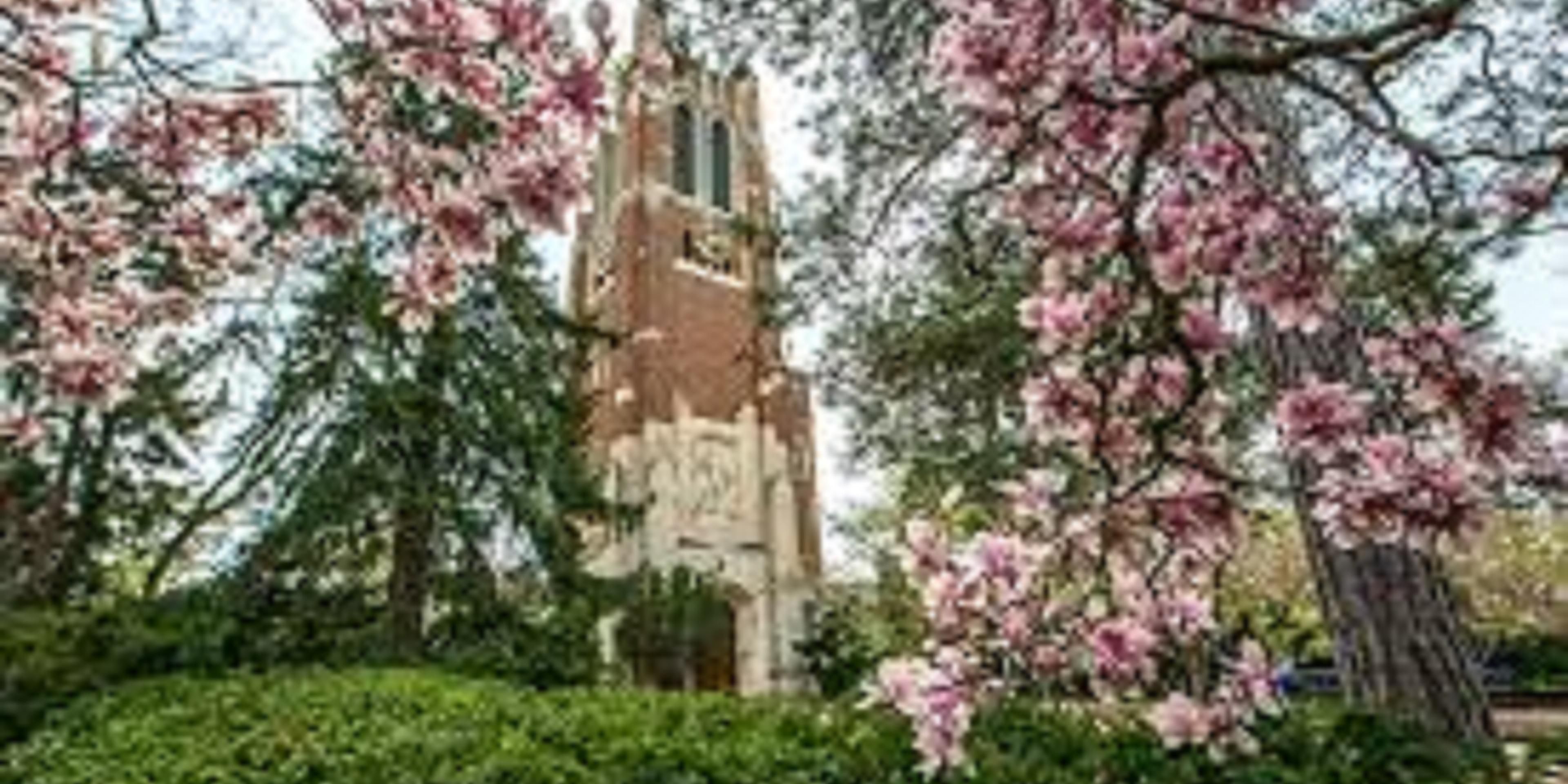 We are located a short drive from Michigan State University where you can attend various sporting events, visit the Wharton Center, MSU Dairy Store, Abrams Planetarium, and the art museum.