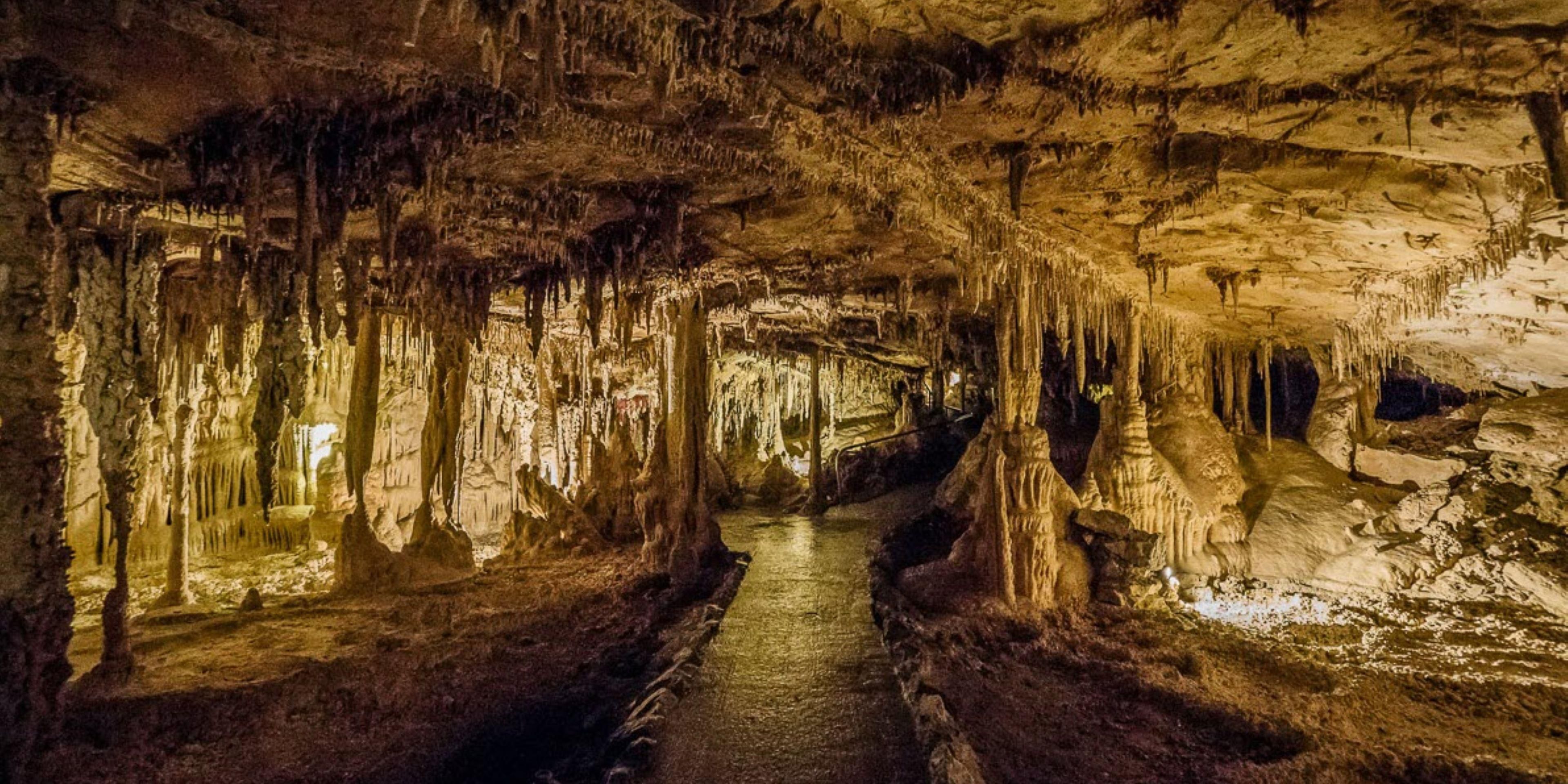 Within Great Basin National Park, a represented piece of this massive region, stories of people and of places abound. Humans have left their mark, from the Fremont Indians, to the first explorer of Lehman Caves, Absalom Lehman, to the mining camps that once dotted the South Snake Range. A not to miss adventure while visiting us here in Ely!