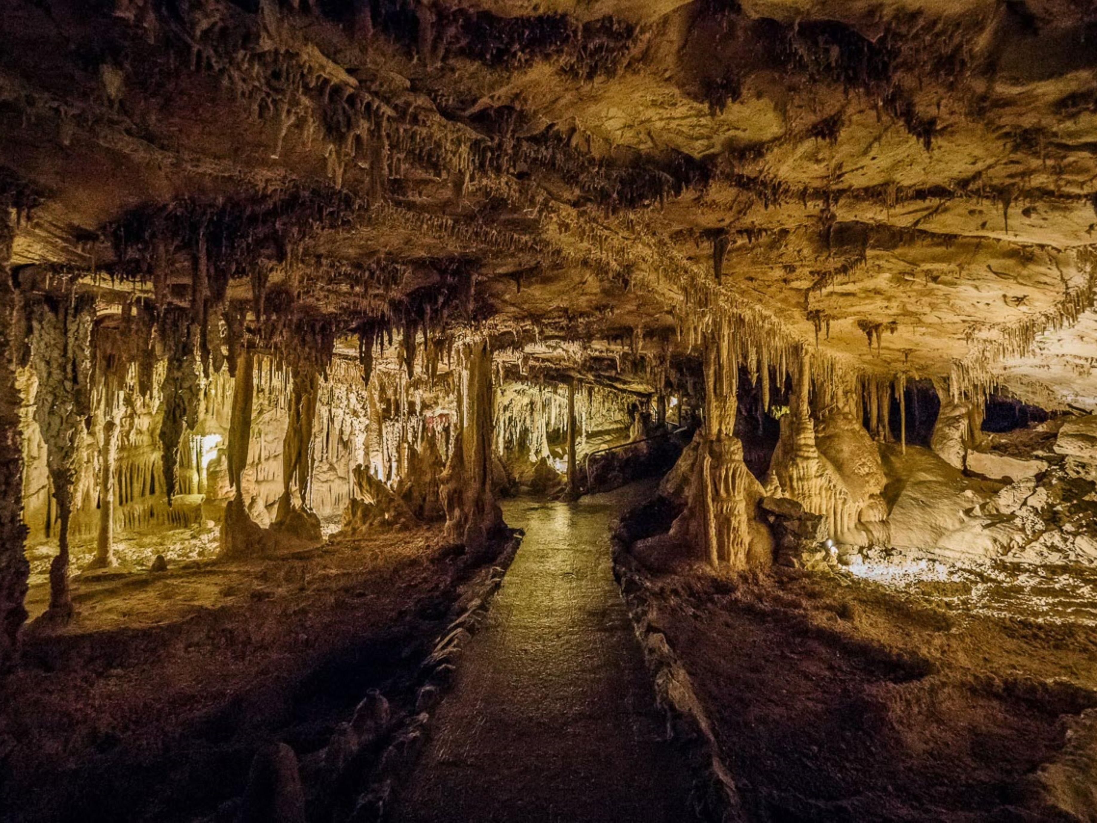 Within Great Basin National Park, a represented piece of this massive region, stories of people and of places abound. Humans have left their mark, from the Fremont Indians, to the first explorer of Lehman Caves, Absalom Lehman, to the mining camps that once dotted the South Snake Range. A not to miss adventure while visiting us here in Ely!