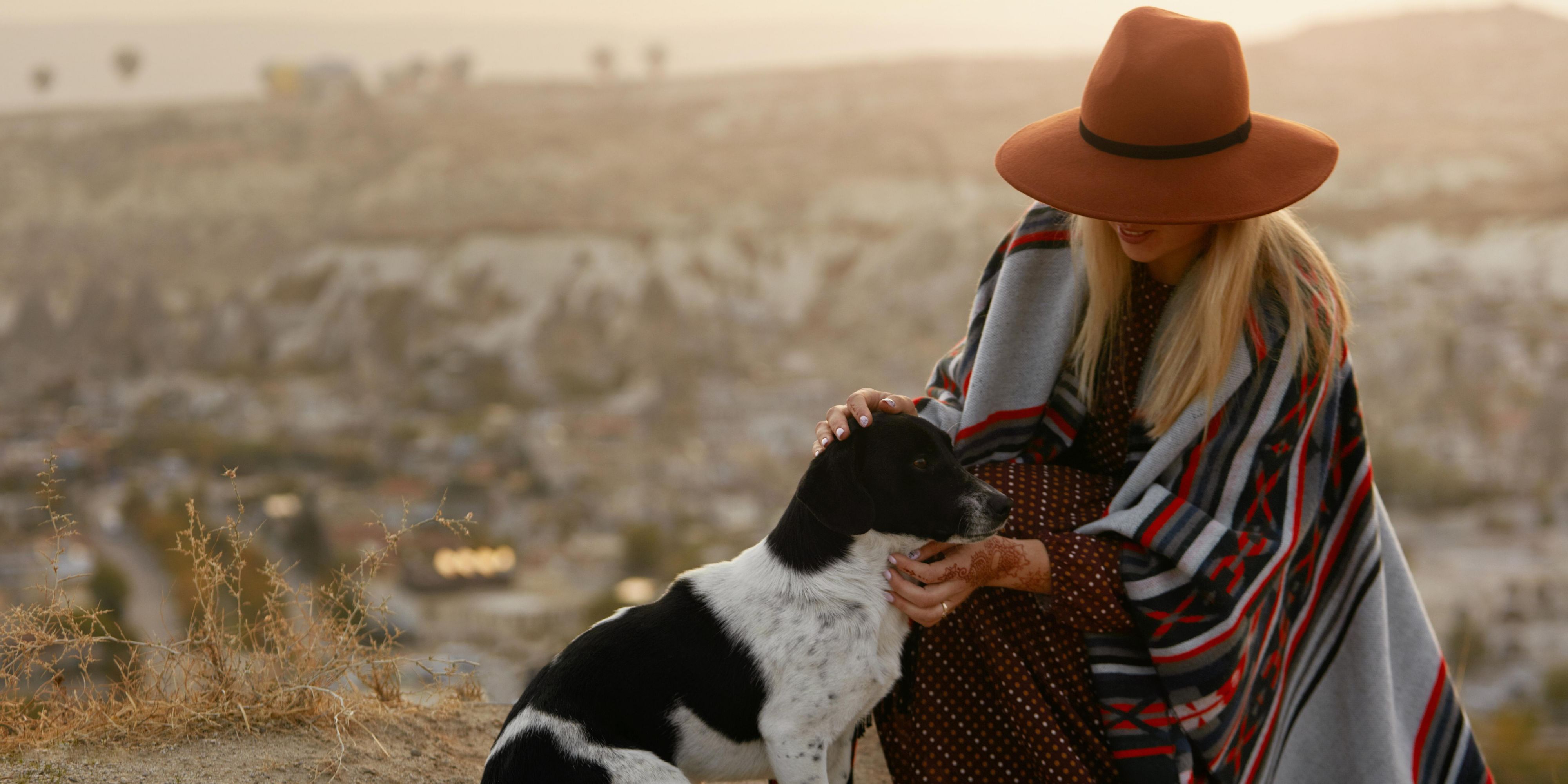 Traveling with your furry best friend? We are a Pet Friendly Hotel! Contact us today for more details