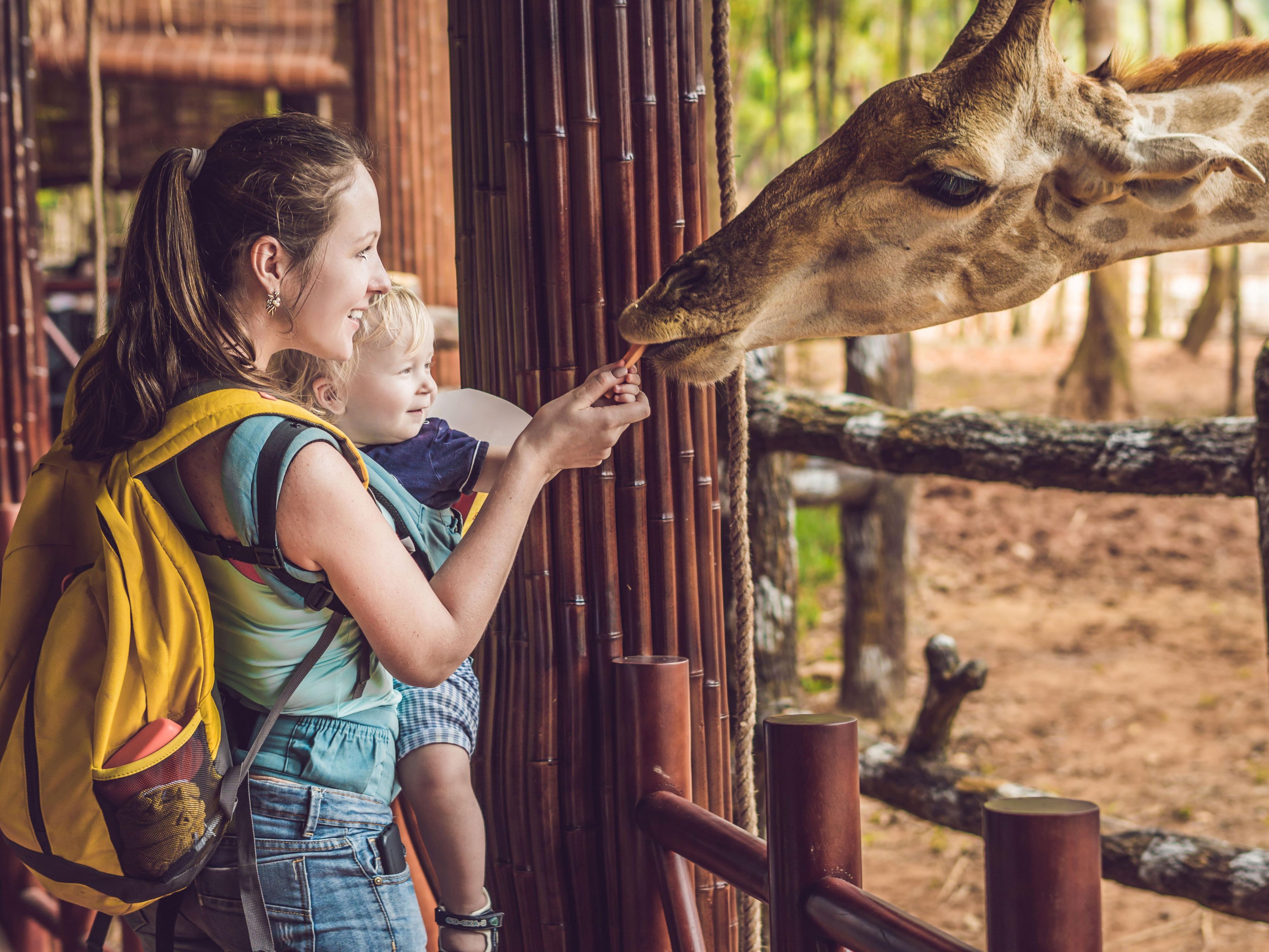 Plan a wild getaway at our Philadelphia hotel with our Elmwood Park Zoo package that includes a spacious King or Two Queen Suite plus admission for two adults and two children. Open Wednesday through Saturday, the zoo features exotic animals, hands-on exhibits, and family-friendly fun.