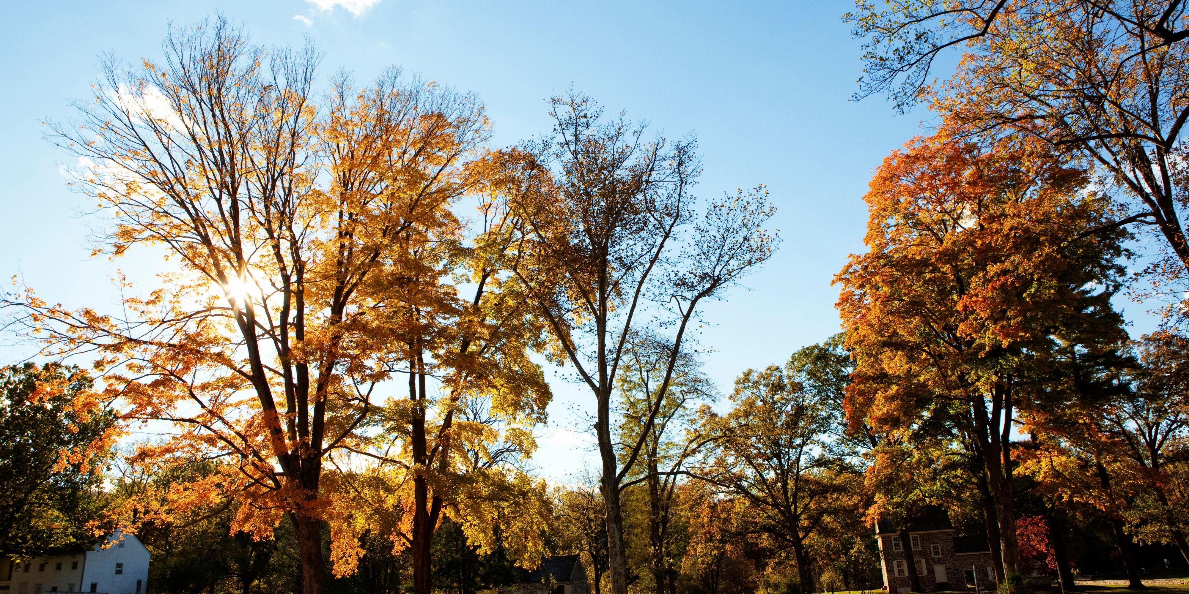 Admire the fall foliage at nearby Valley Forge National Historical Park. With 30 miles of trails, this park is perfect for biking and hiking enthusiasts. Or, take one of the daily trolley tours throughout the park to historic sites like Muhlenberg's Brigade and Washington's Headquarters.