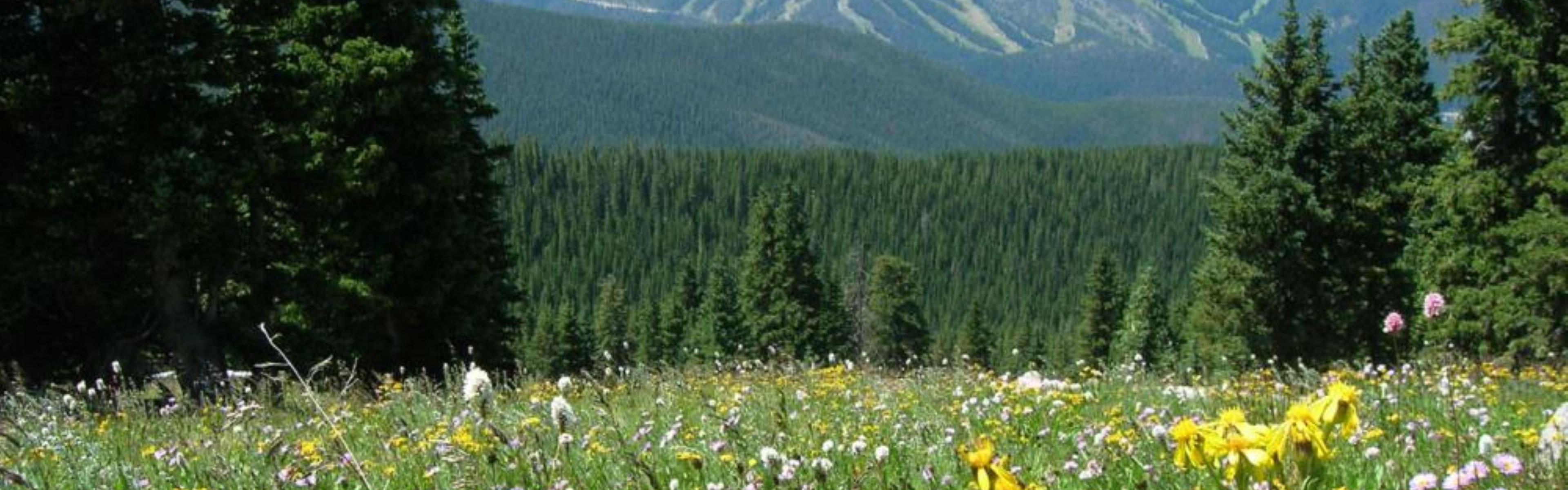 Explore the Rockie's Playground in Grand County this Summer