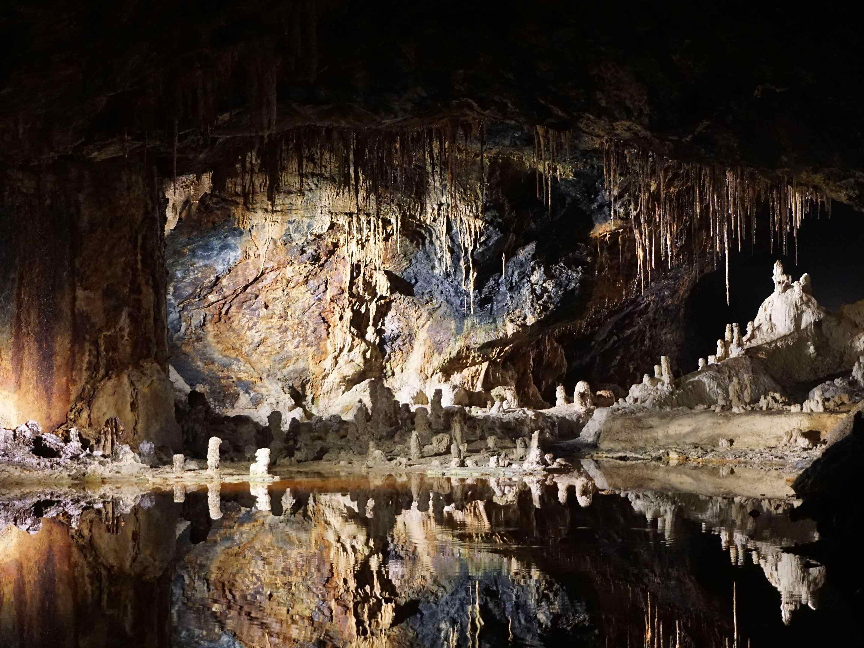 Mammoth Cavei National Park is the largest cave in our area 