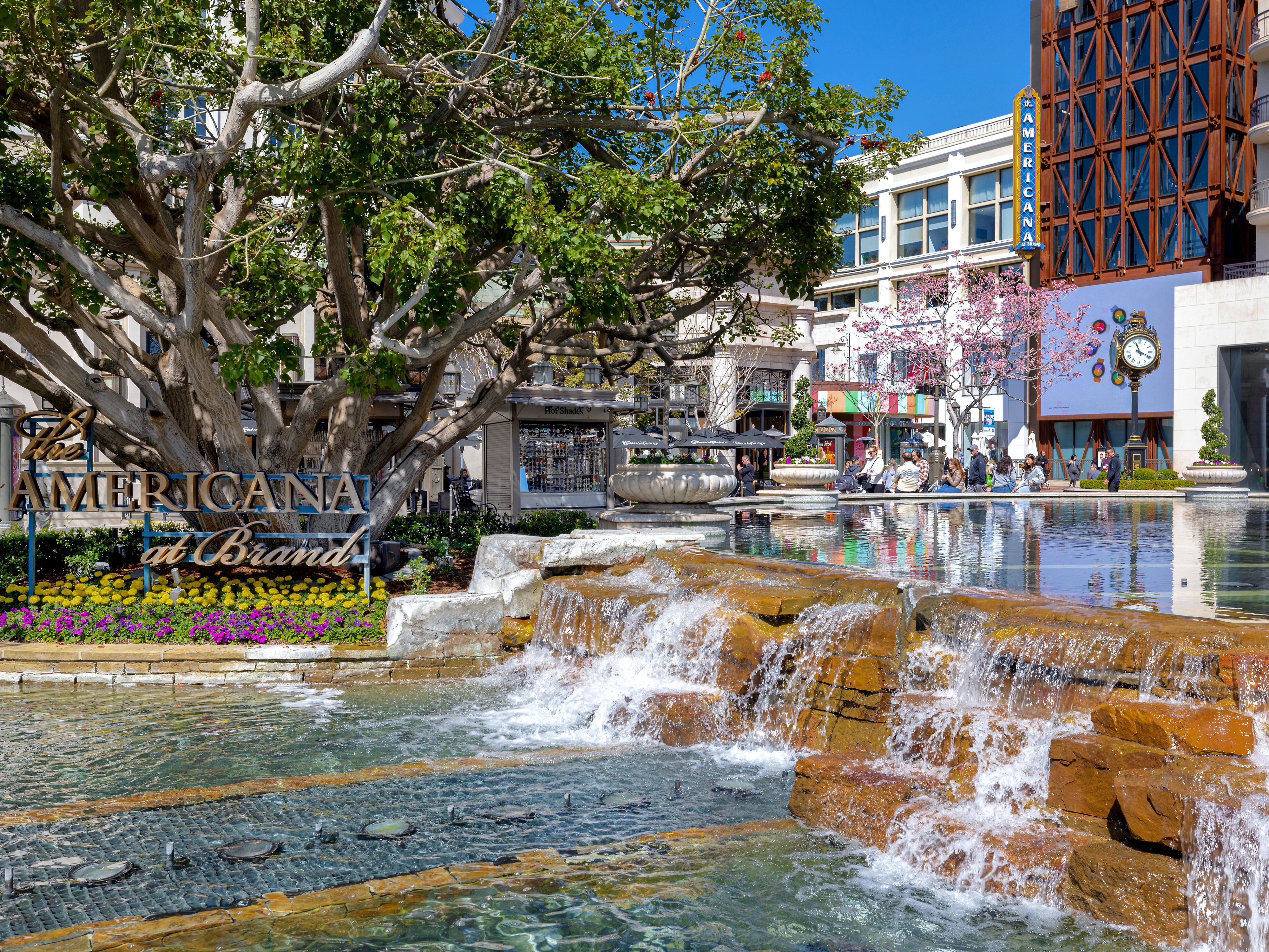 ★DISNEY RESORT　　コンプリートセット　総額約¥36000 Amazon.co.jp: 東京ディズニーリゾート ホテルガイドブック 2024