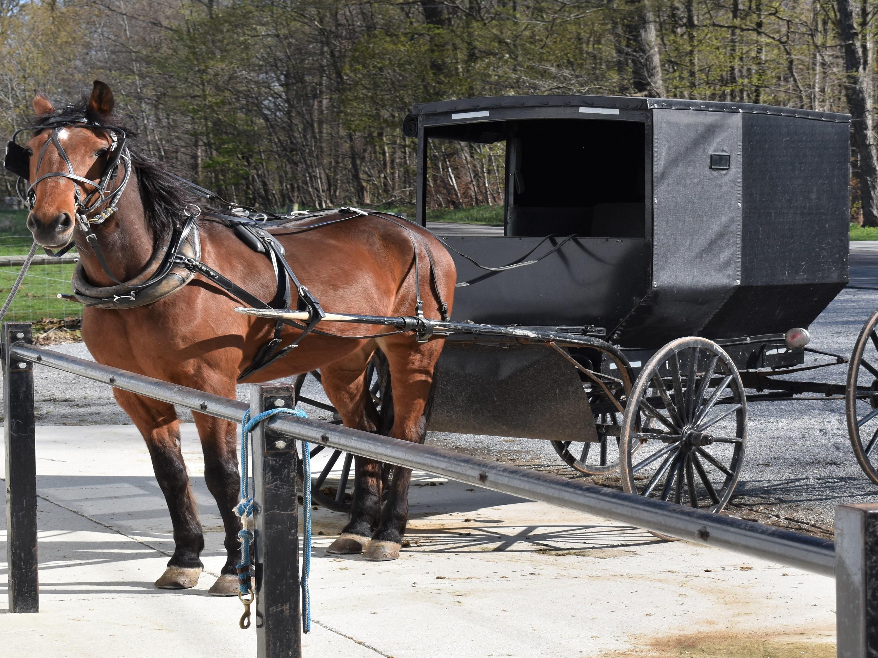 Visit the Heart of Amish Country