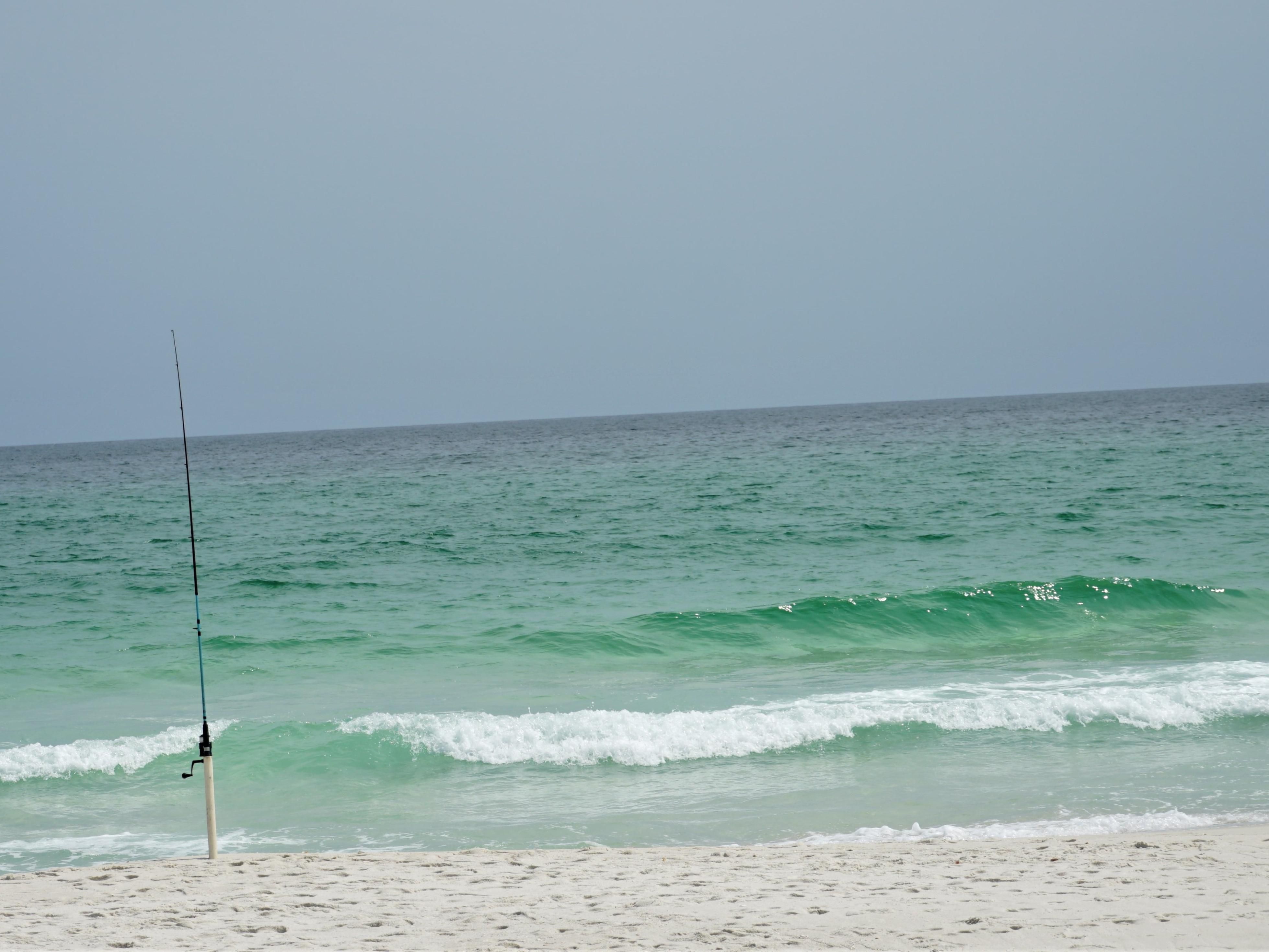 Nikmati kenyamanan hotel kami yang terletak di antara Downtown Pensacola dan Pantai Pensacola. Hotel kami hanya 1.5 mil di jalan dari Pantai Pensacola. Ayo tinggal bersama kami dan nikmati semua atraksi yang ditawarkan Pensacola. 