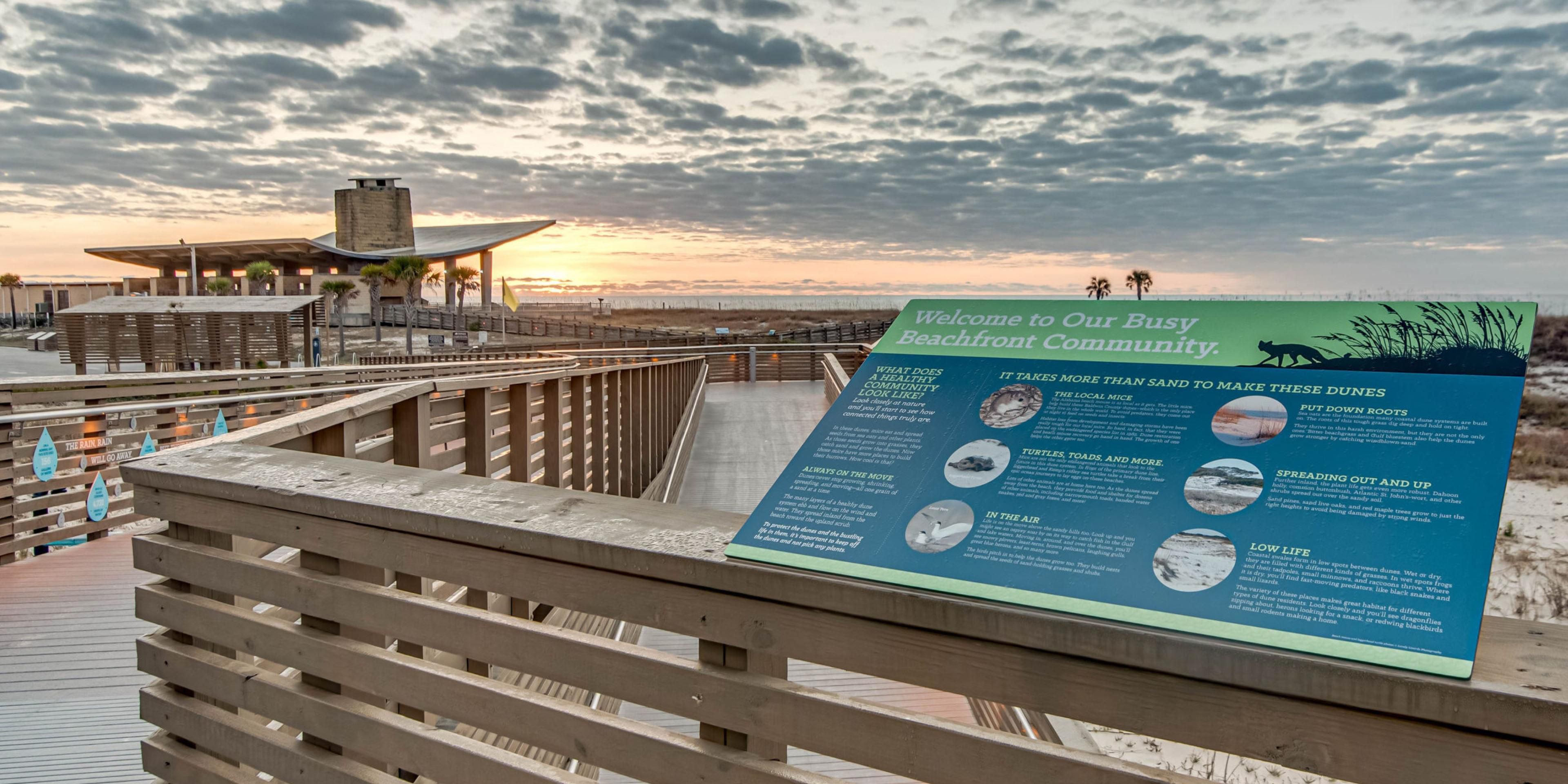 Gulf State Park has two miles of beaches, a spacious campground and a brand new Lodge to greet you. Yes, we have gorgeous white sand, surging surf, seagulls and a variety of activities, but there is more than sand and surf to sink your toes into.