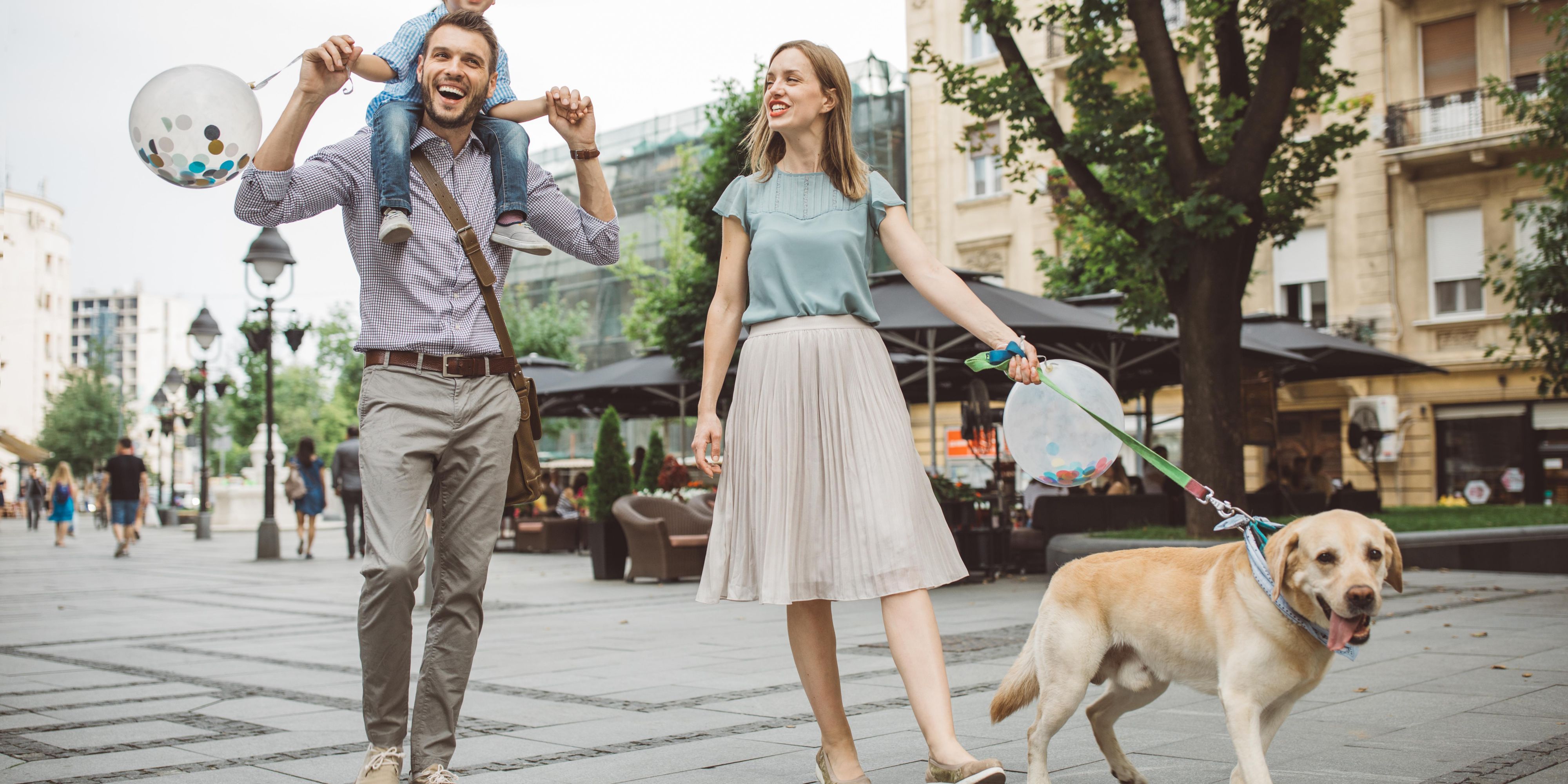 Hotels in Halifax NS Holiday Inn Express & Suites Halifax Bedford