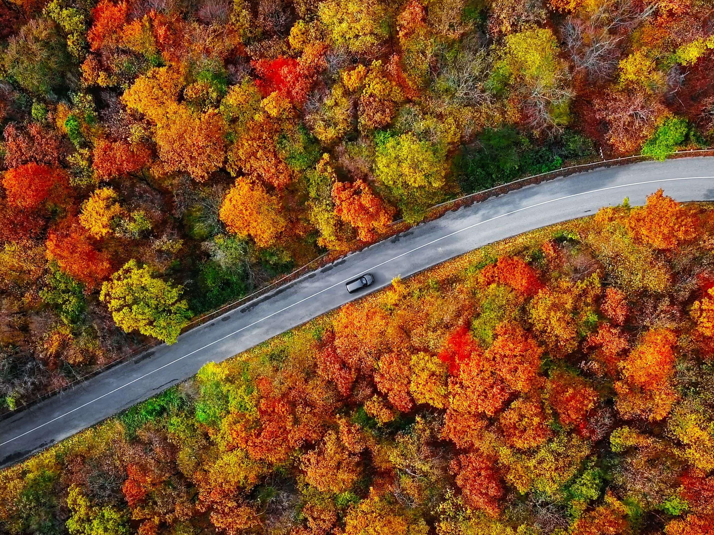Chasing Fall Colors
