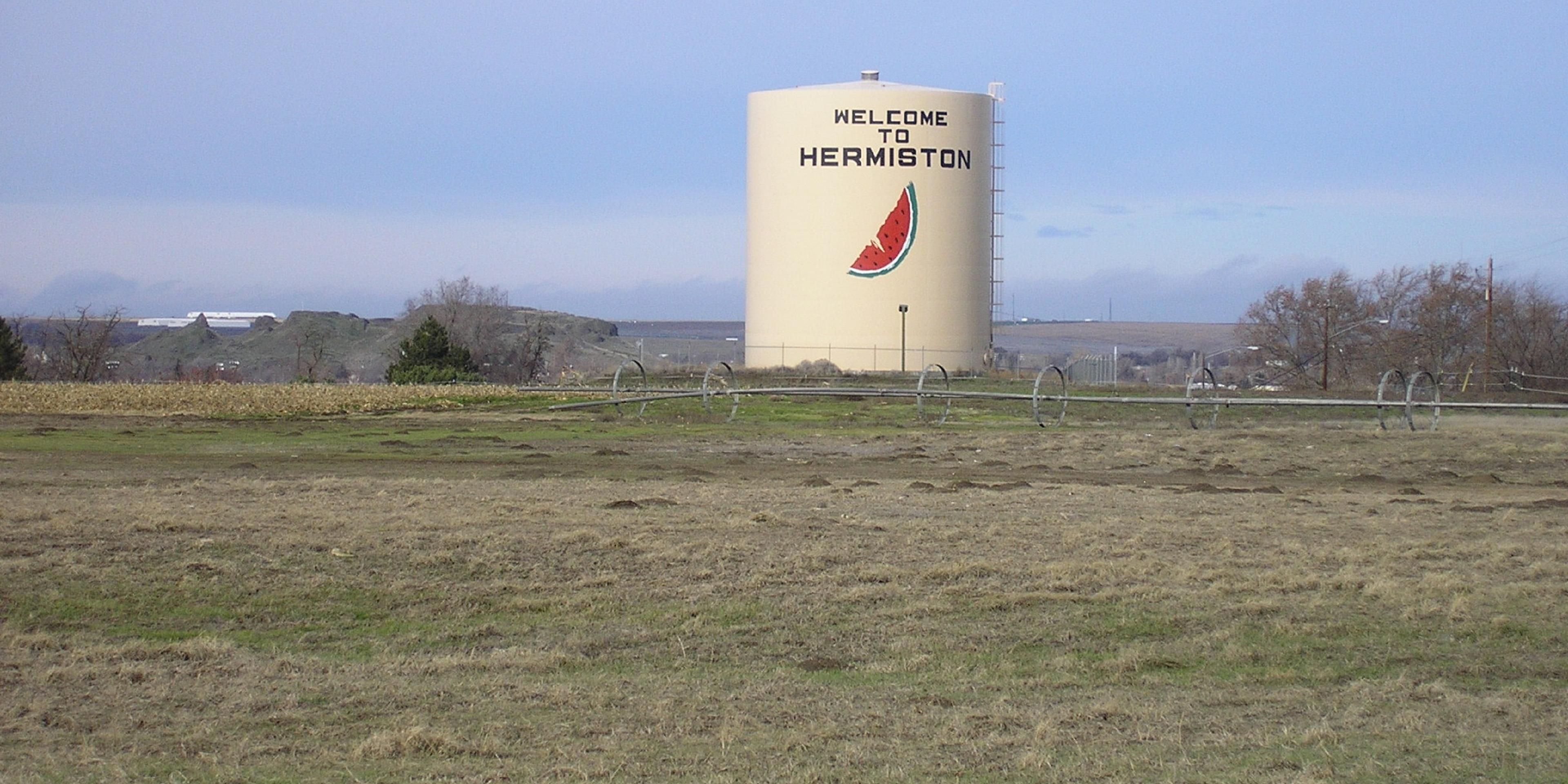 During your trip to Hermiston, take a stroll through our beautiful Downtown area. Find great restaurants, shops, and much more during your stay.