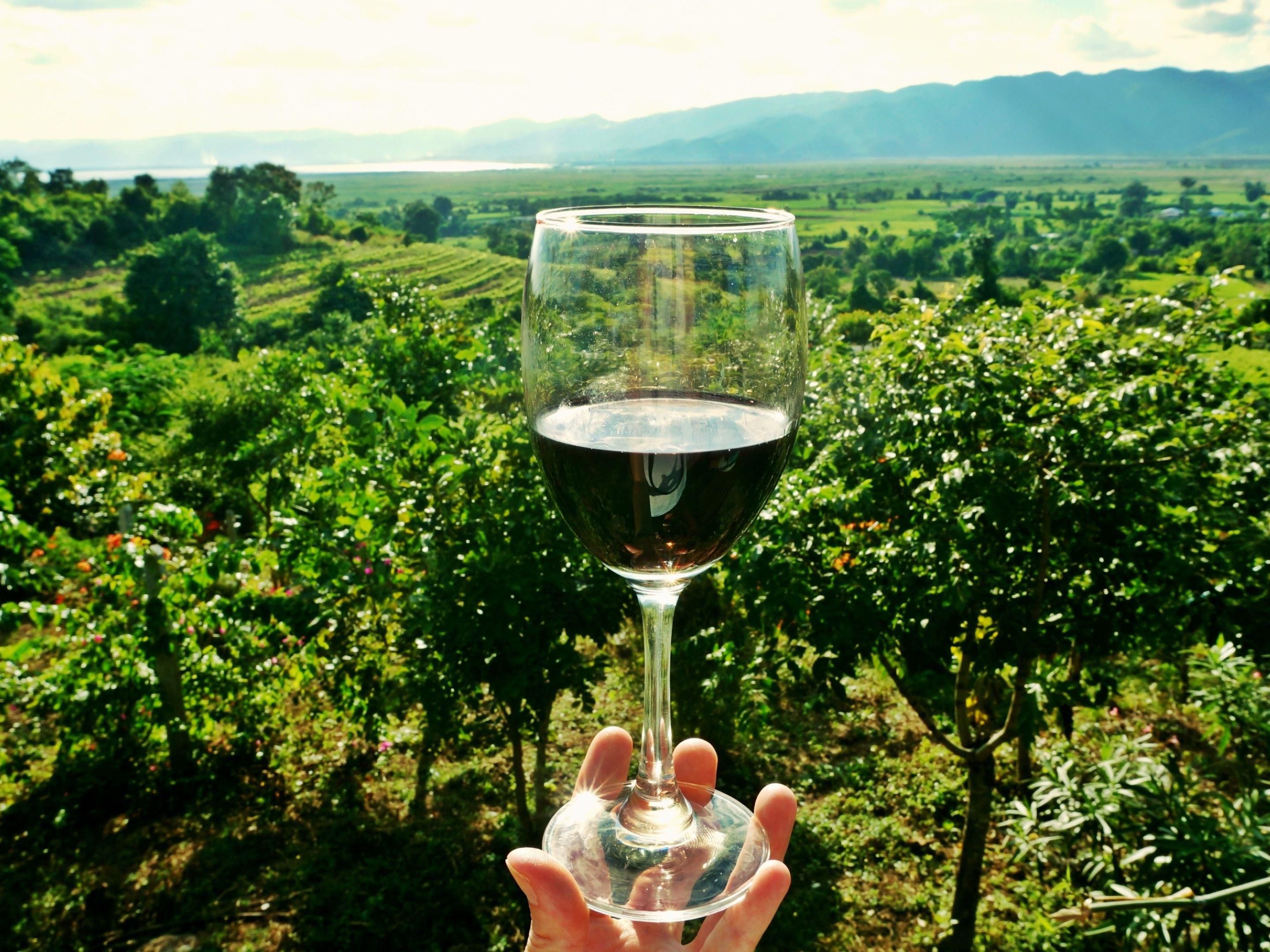 Explore local wineries near our hotel. From Pinot Noir and Chardonnay at Calera Wine Company to Cabernet Sauvignon and Merlot at Leal Vineyards, enjoy tastings with scenic views. Savor small-batch wines at DeRose Vineyards, a relaxed tasting at Windmill Ridge Winery, and delight in Italian varietals at Pietra Santa Winery in Cienega Valley. 