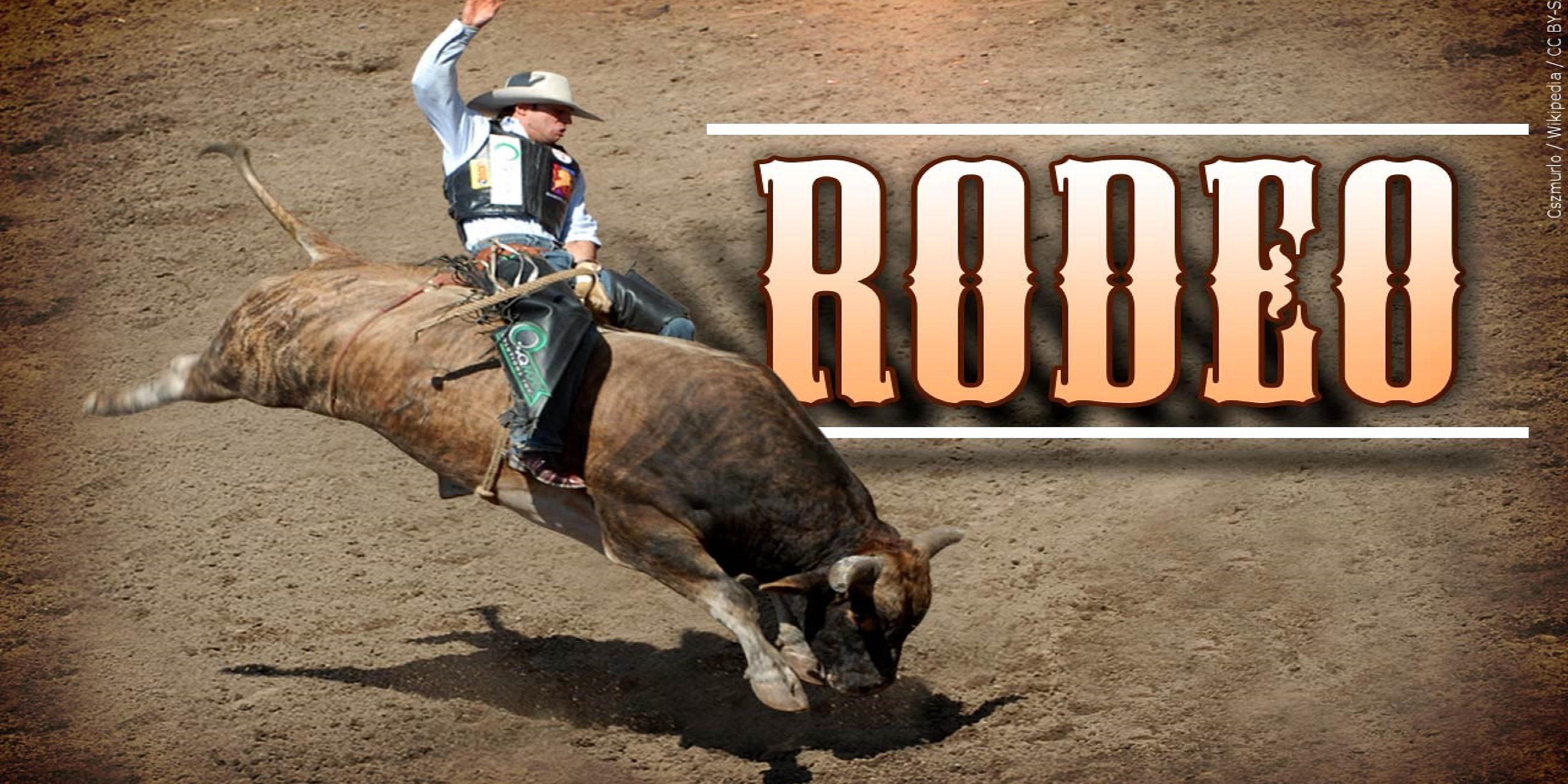 The Houston Livestock Show and Rodeo is the world's largest livestock show and richest regular-season rodeo dedicated to benefiting youth. 