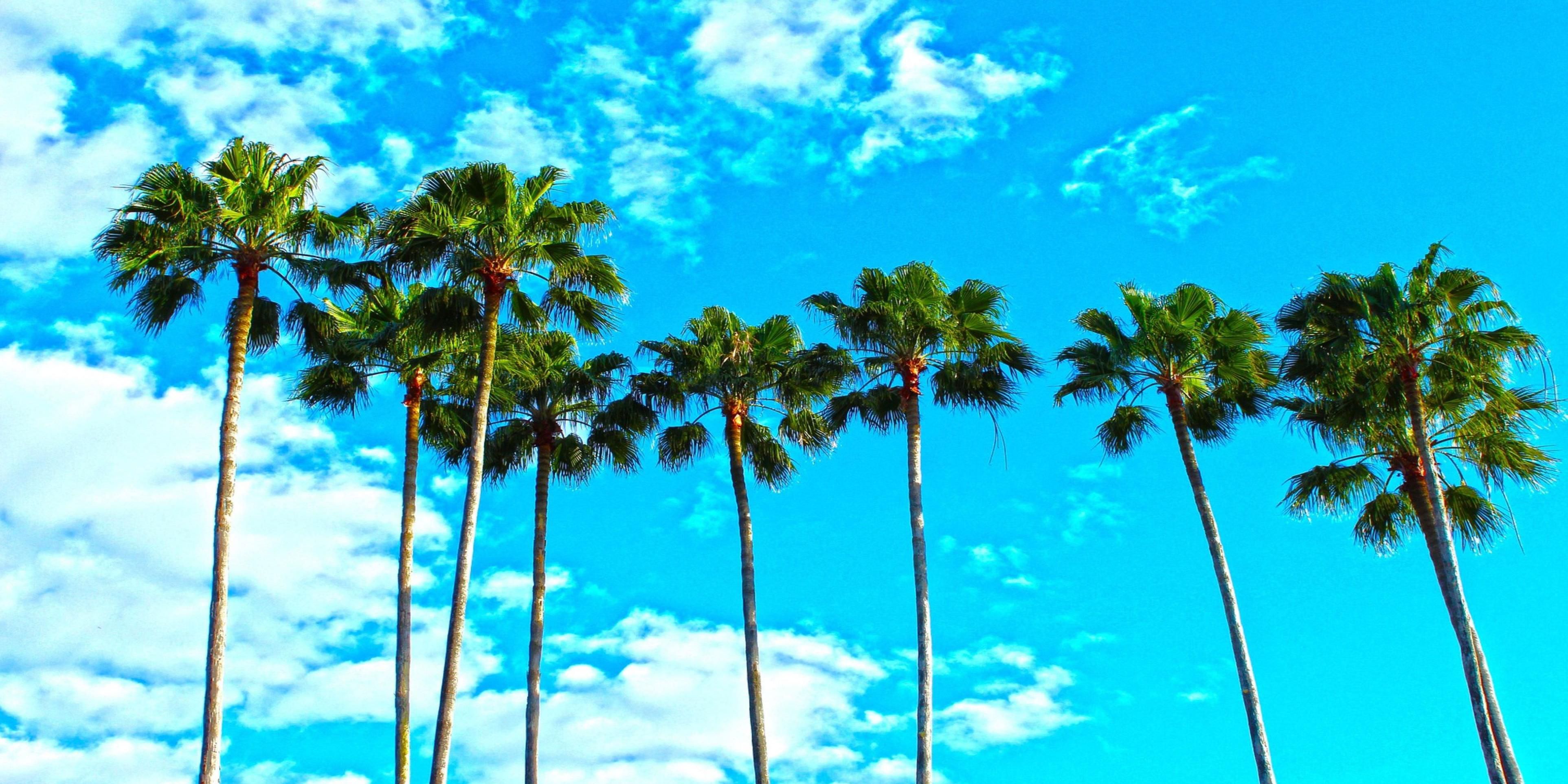 We love to be the home away from home for travelers in Florida!  Exclusive discounts for AAA & AARP travelers with ID.  Whether a staycation in JAX or passing through, we are the #1 choice for you!