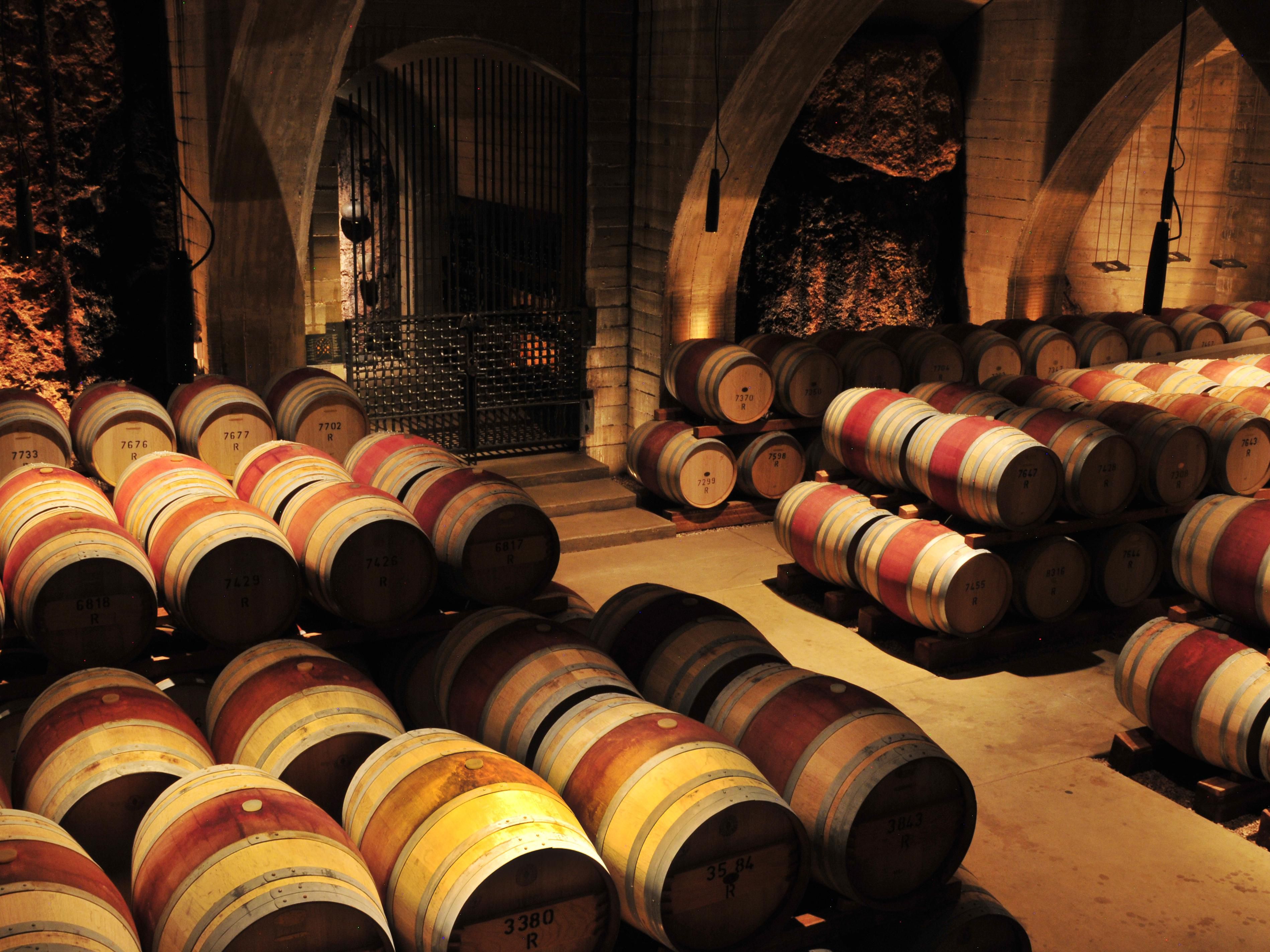 The Okanagan Valley is home to over 200 wineries. The wines are steadily gaining worldwide acclaim. Come and explore our wine country where you will find an abundance of culinary experiences as well as unforgettable winery and vineyard events. Many wineries remain open all year round and offer guided tours and some are dog-friendly too.