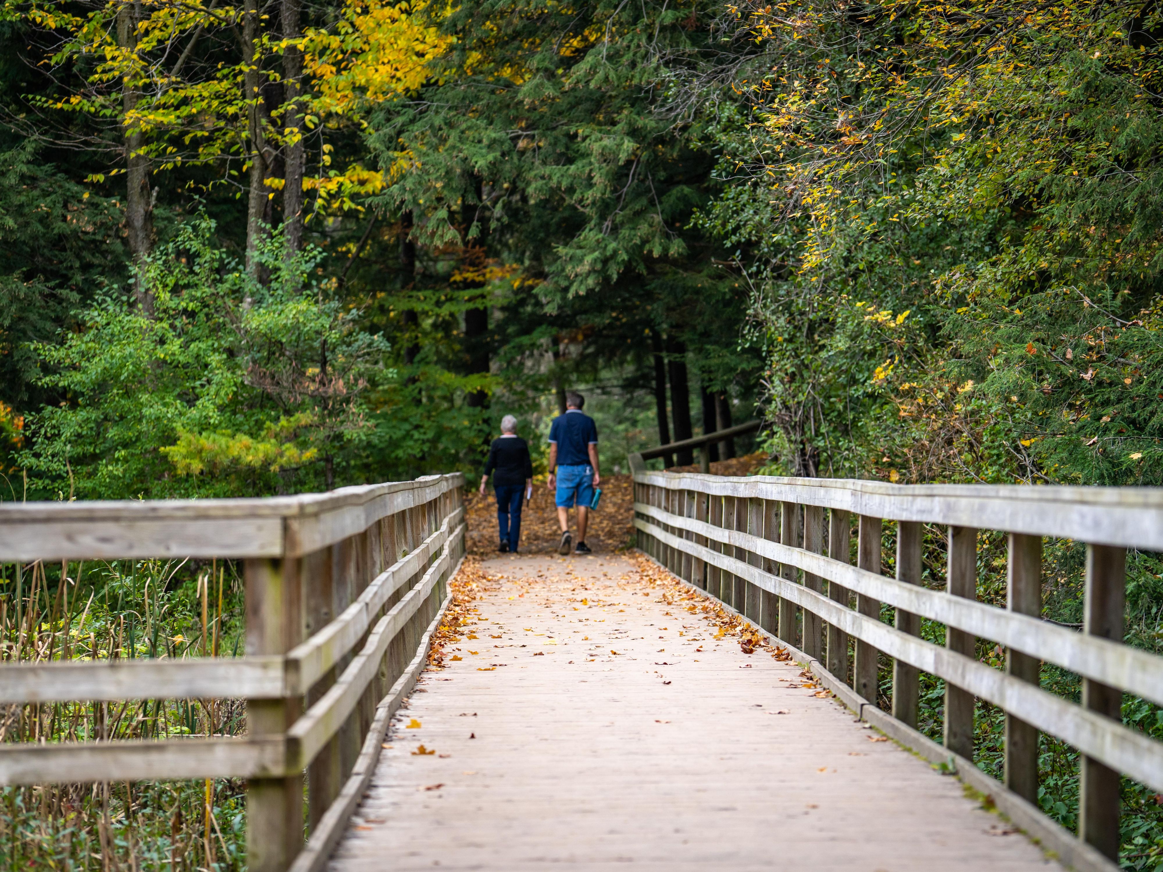 Nothing says fall like a great hike to see the spectacular colors of autumn. Huron Natural Area is Kitchener’s largest natural space at 107 hectares, featuring some of the best hiking trails in our region. With scenic, interconnecting trails suitable for all skill levels, it’s ideal for families and beginner hikers. Less than 14 minutes by car.