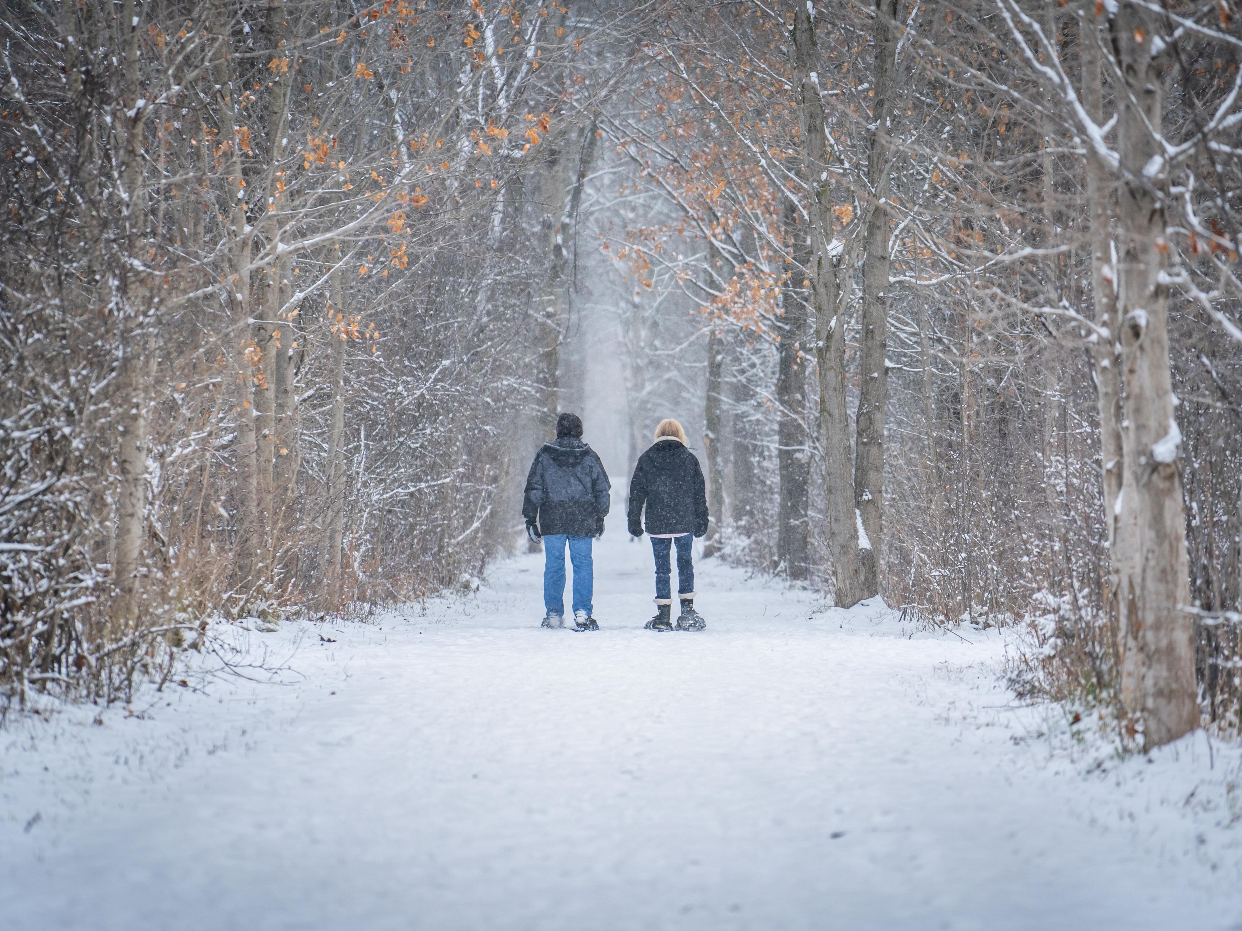 Explore parte del Walter Bean Trail a pie o con raquetas de nieve y descubra toda la belleza invernal que la naturaleza tiene para ofrecer a lo largo del Grand River. Comience su aventura en la conocida Pioneer Memorial Tower. A solo 7 minutos del hotel.