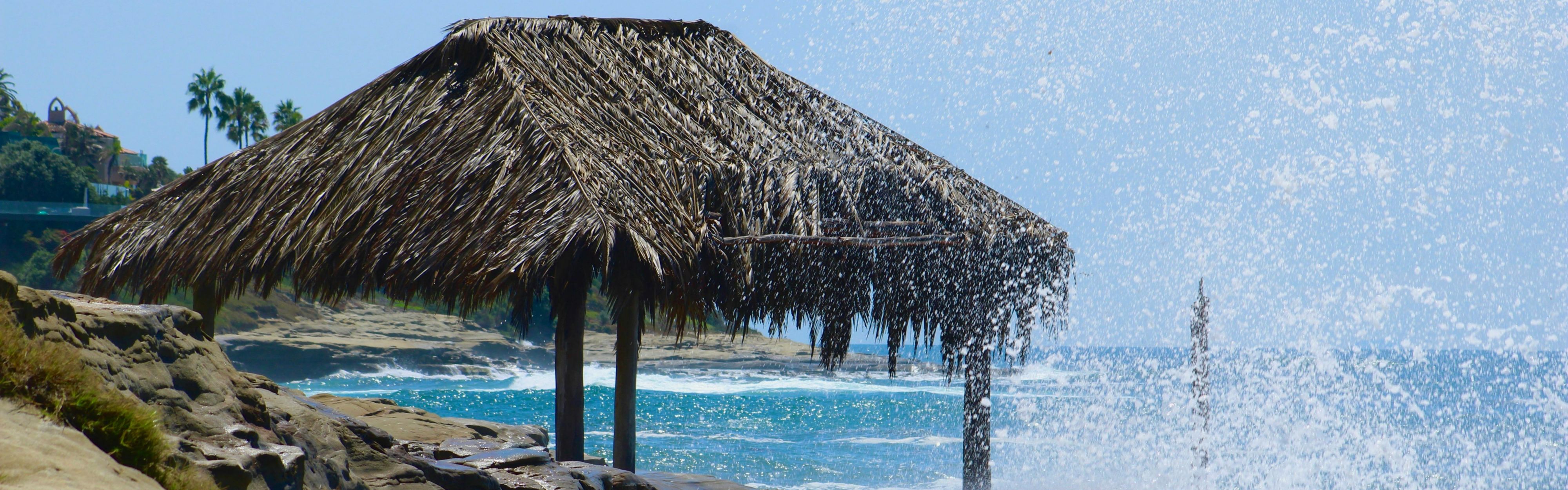 Surf's Up at Windansea Beach