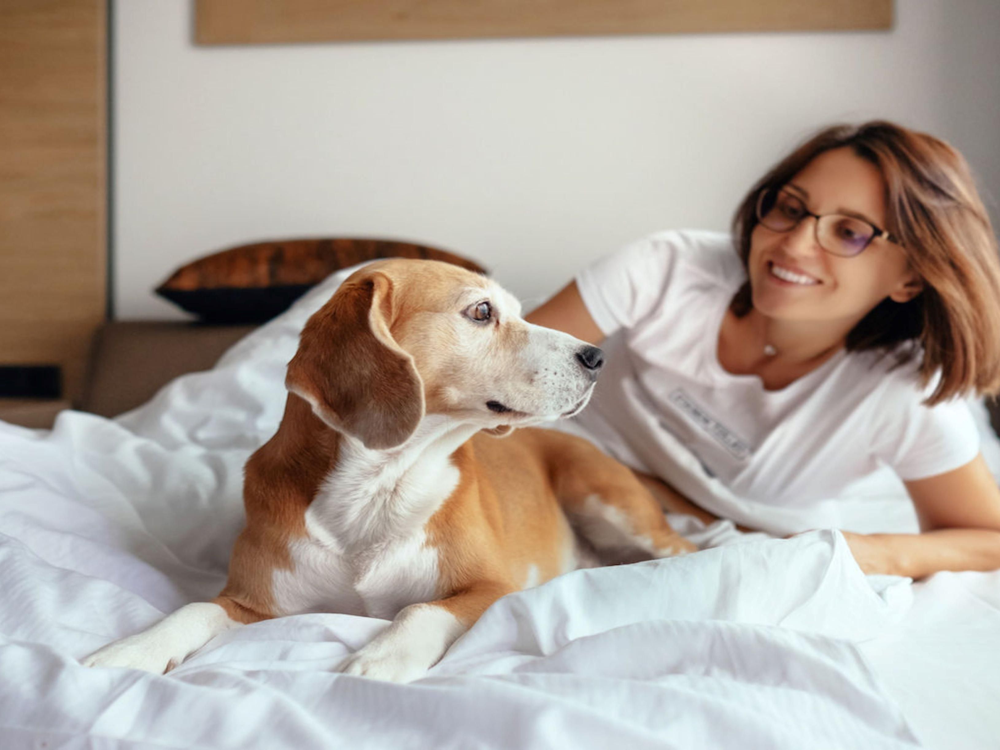 We know your pet is part of the family, especially when you are on the road. That is why we are not just pet friendly but we are pet preferred. Click on our Pet Policy for more information.