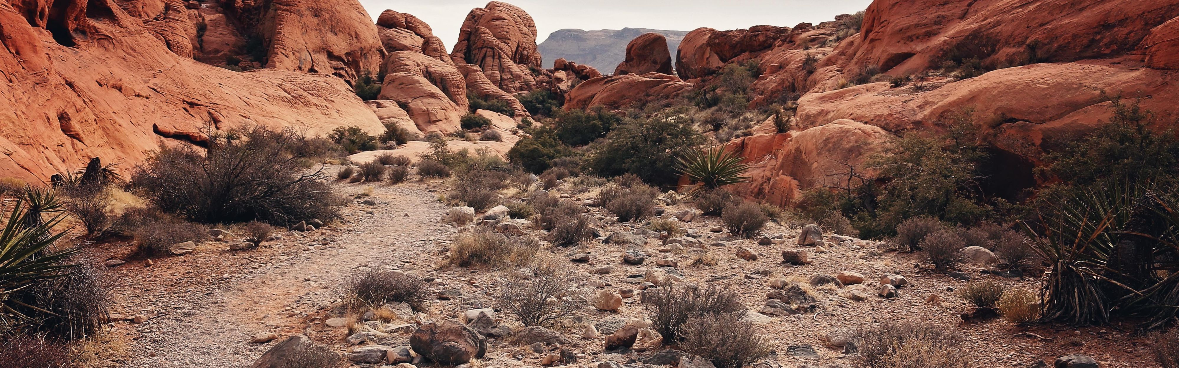 Cañón de roca roja