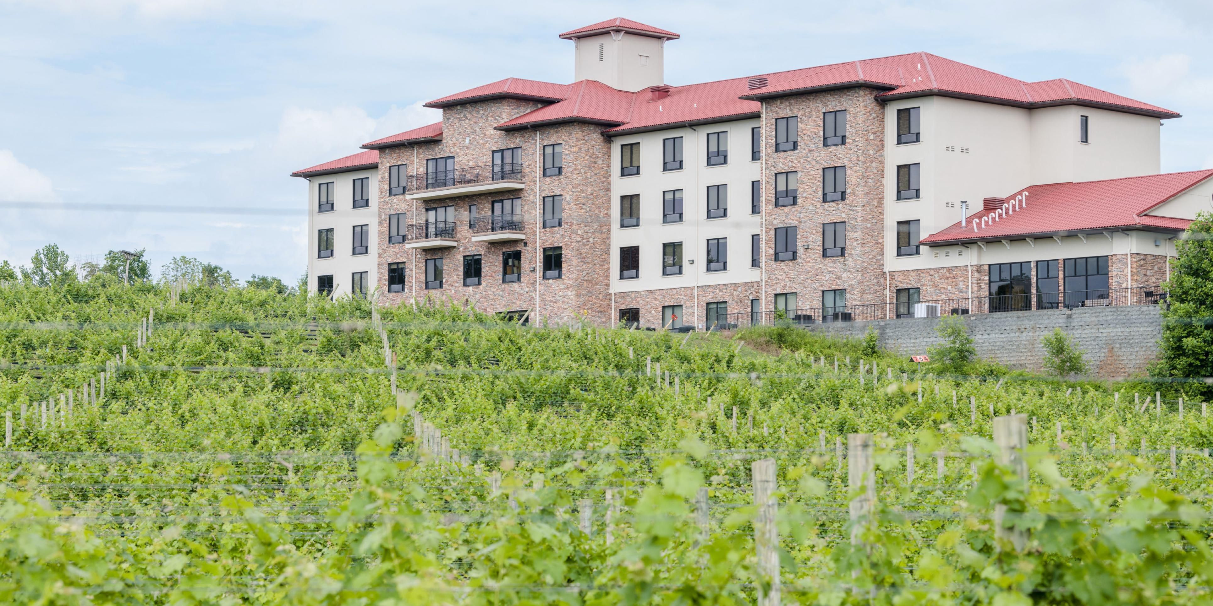 Holiday Inn Express & Suites Lexington NW-The Vineyard