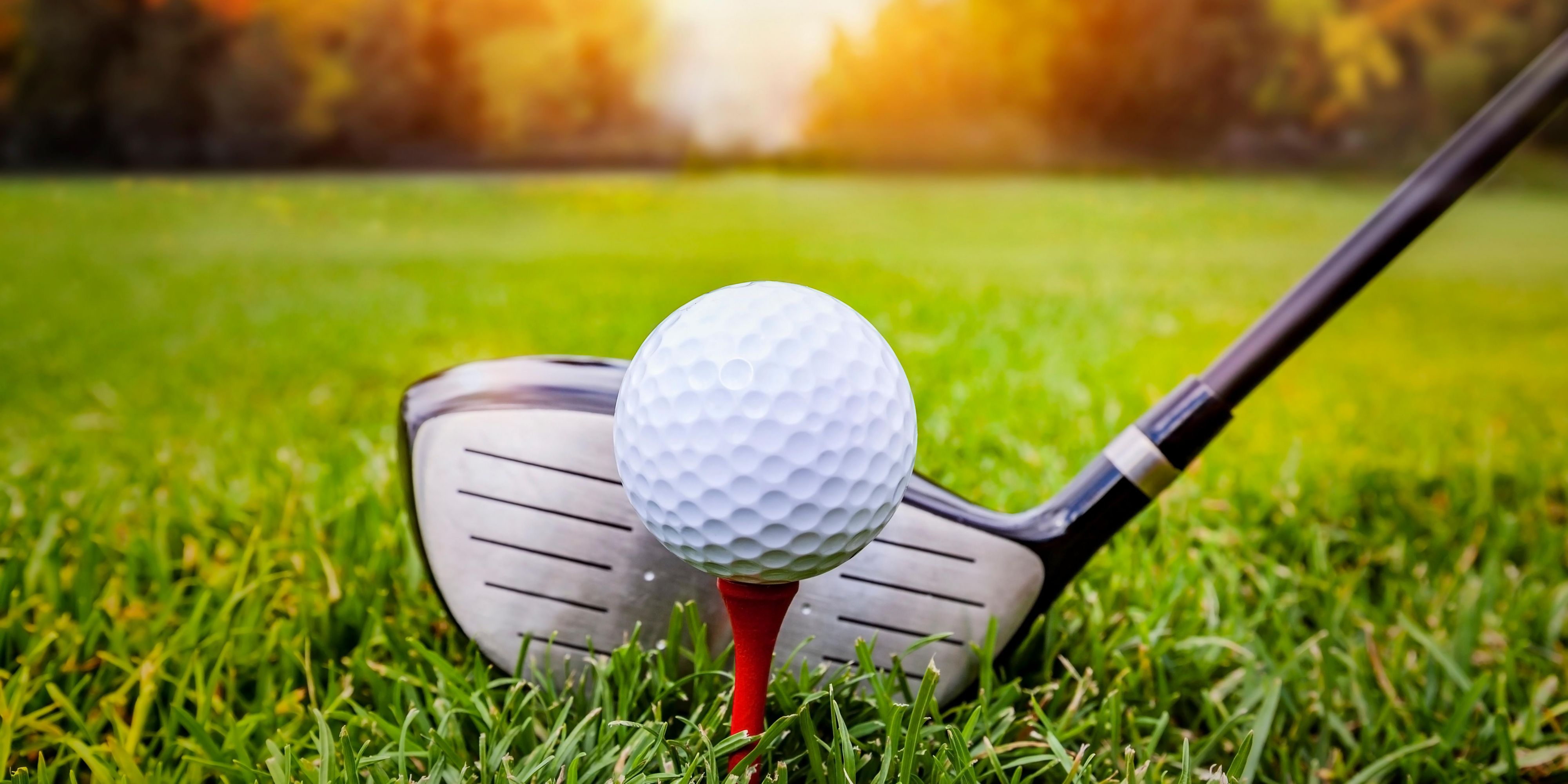 In town for the big tournament? Stay at Holiday Inn Express & Suites Lexington for straightforward access to the golf pros with nearby entry onto Interstate-20. 