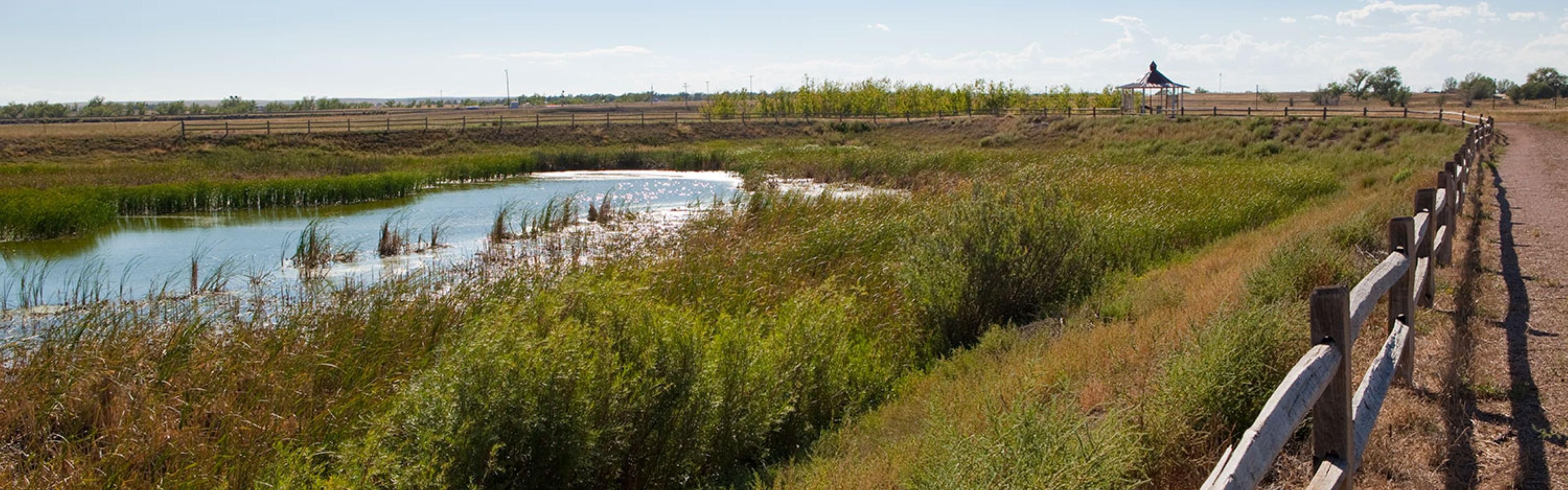 Doug Kissel fishing pond is great place to watch wildlife.