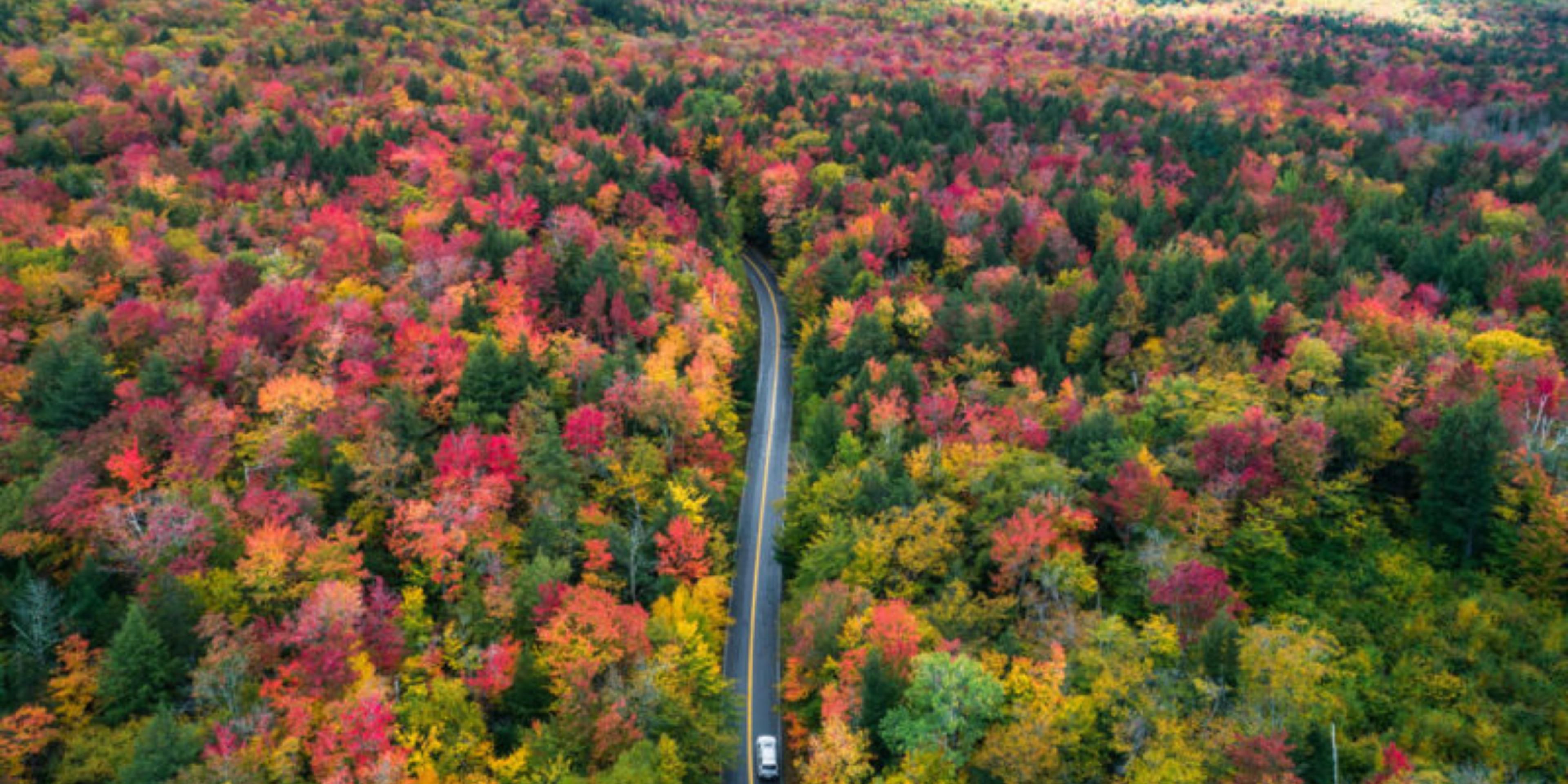 We are located at the start of one of the most scenic drives in America. This mountain highway offers spectacular views and sightseeing destinations for the avid outdoor enthusiast and the casual leaf peeper alike. Open year round.