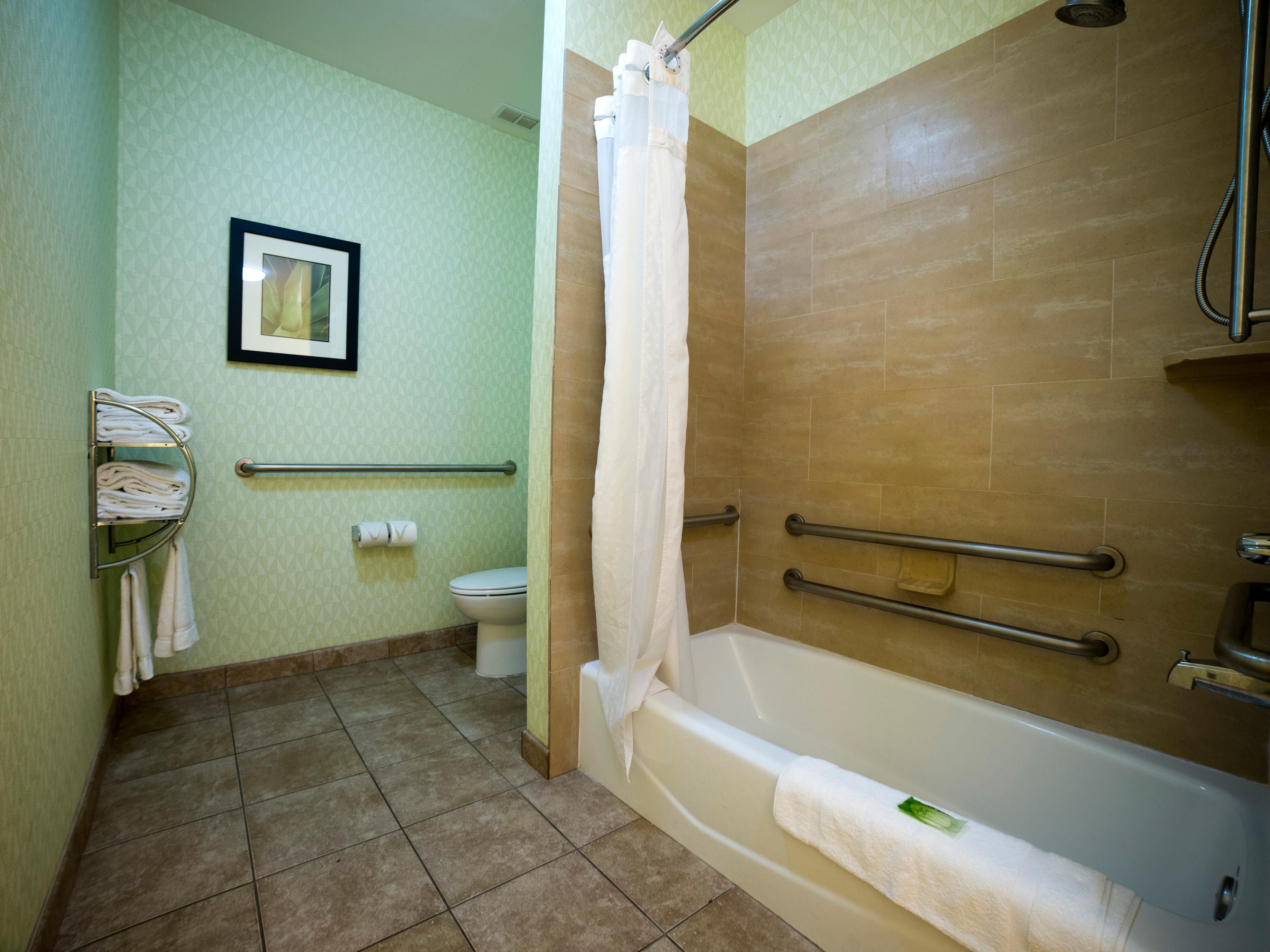King Room Wheelchair Accessible Bathroom