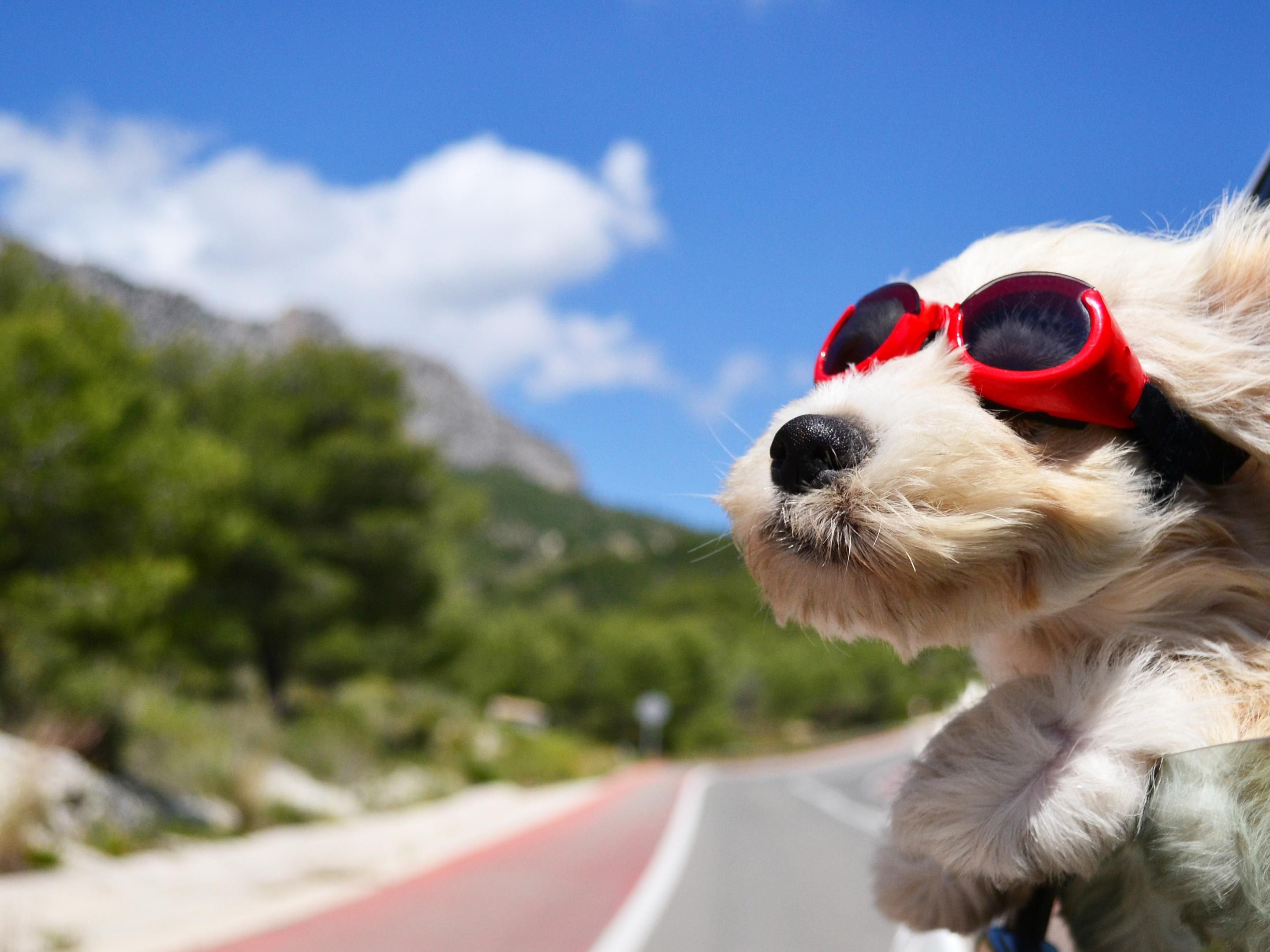 Affordable Hotels in Lucedale, MS Holiday Inn Express & Suites Lucedale