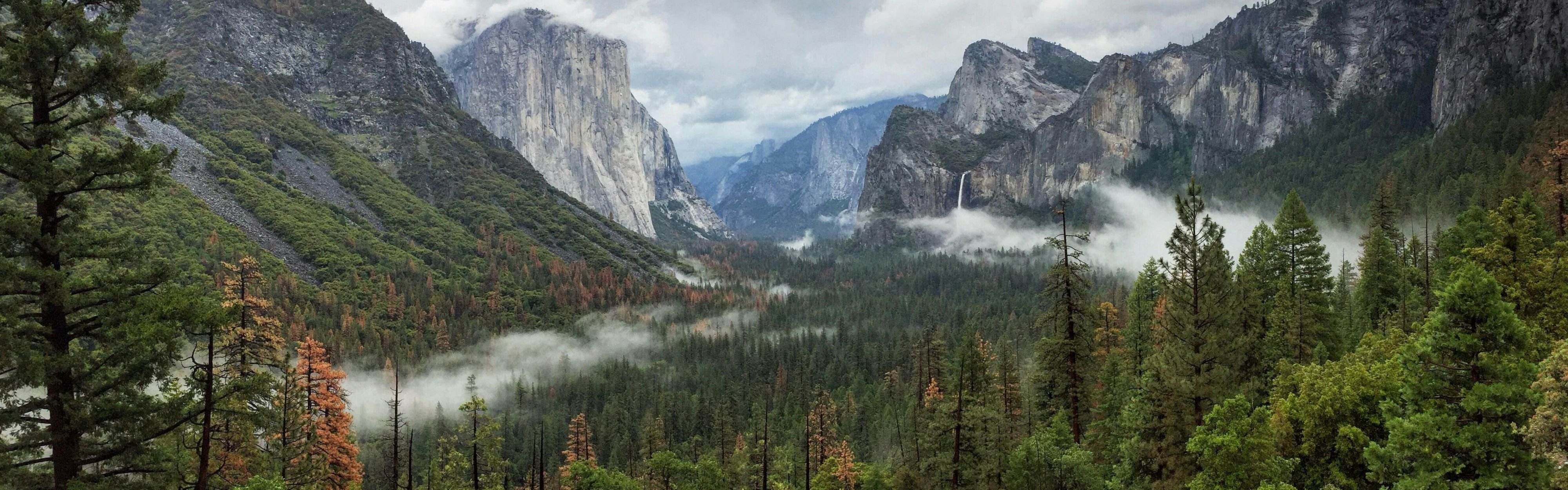 ヨセミテ国立公園
