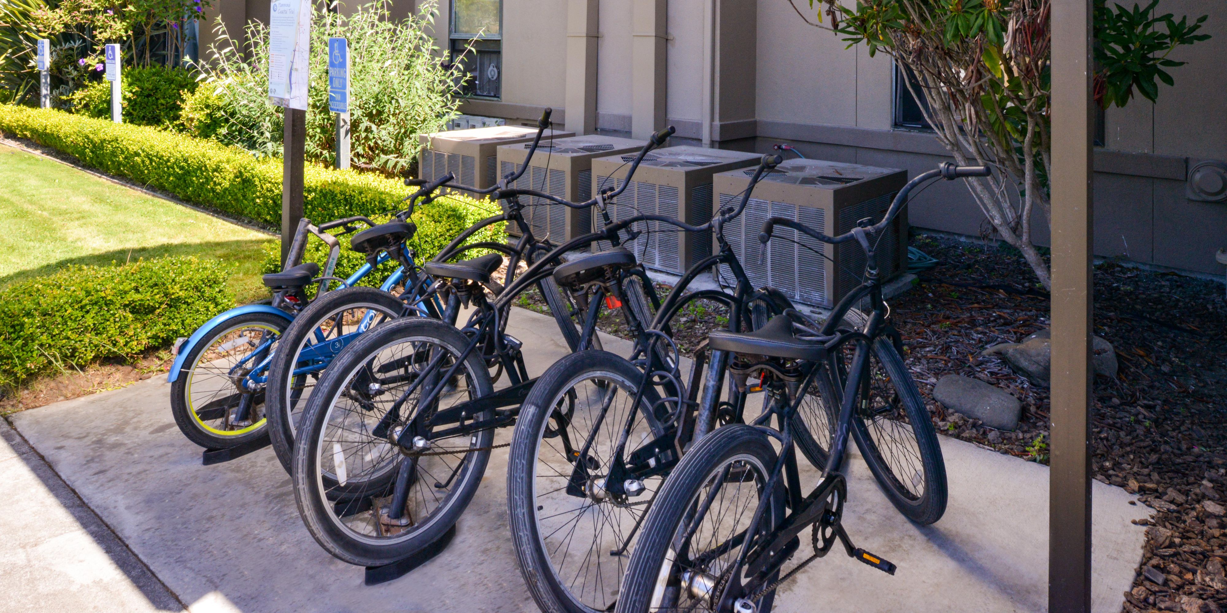 Cruise the Hammond Trail on a 3 speed beach cruiser. Up to five adult 3 speed beach cruisers and one child's bike available to rent, enjoy the breathtaking views and scenery this Pacific Coast trail has to offer. Bicycle rentals start at just 10 USD per day, per bicycle. Please see our Guest Services for more information.